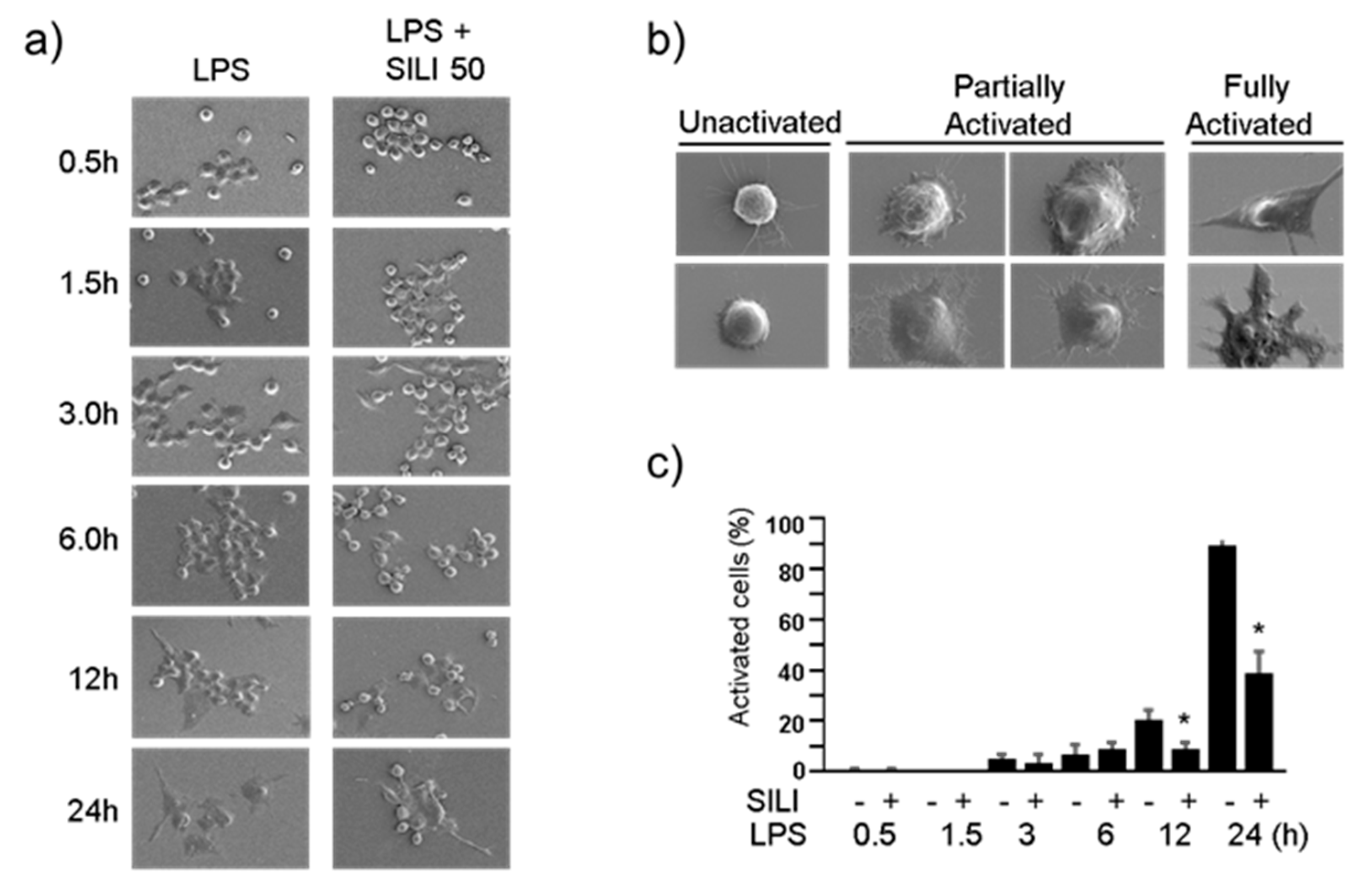 Preprints 79251 g002