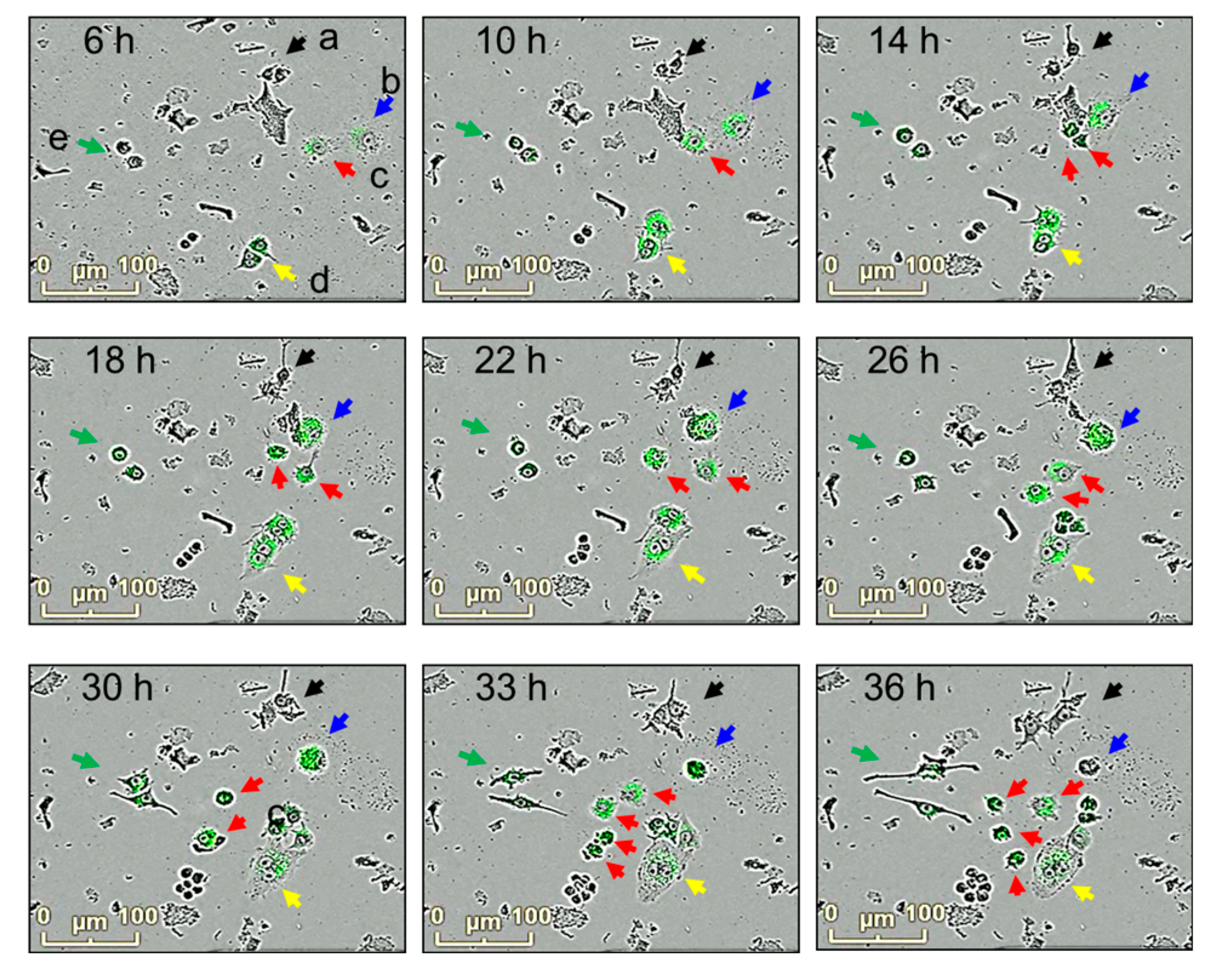 Preprints 79251 g004