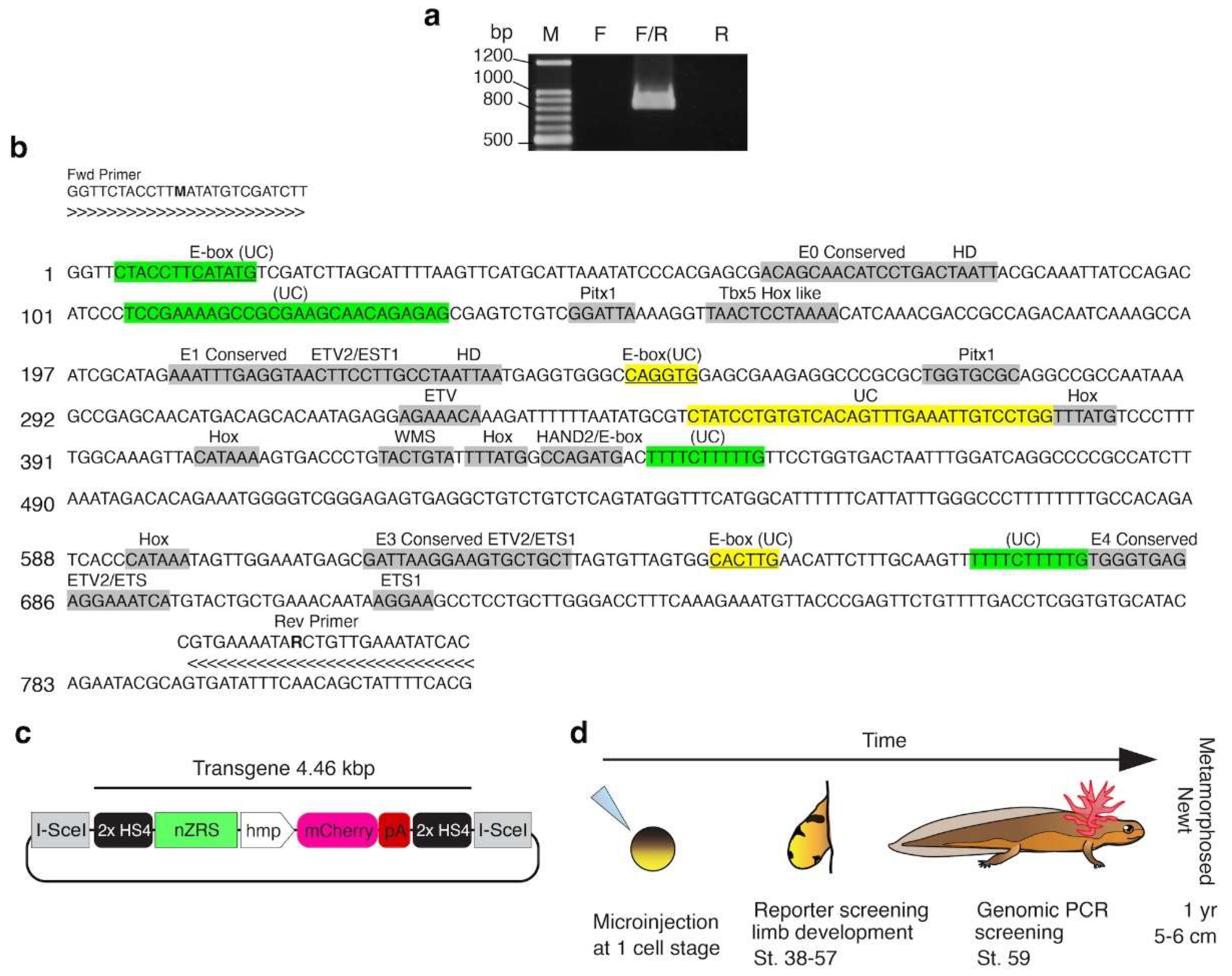 Preprints 121145 g001