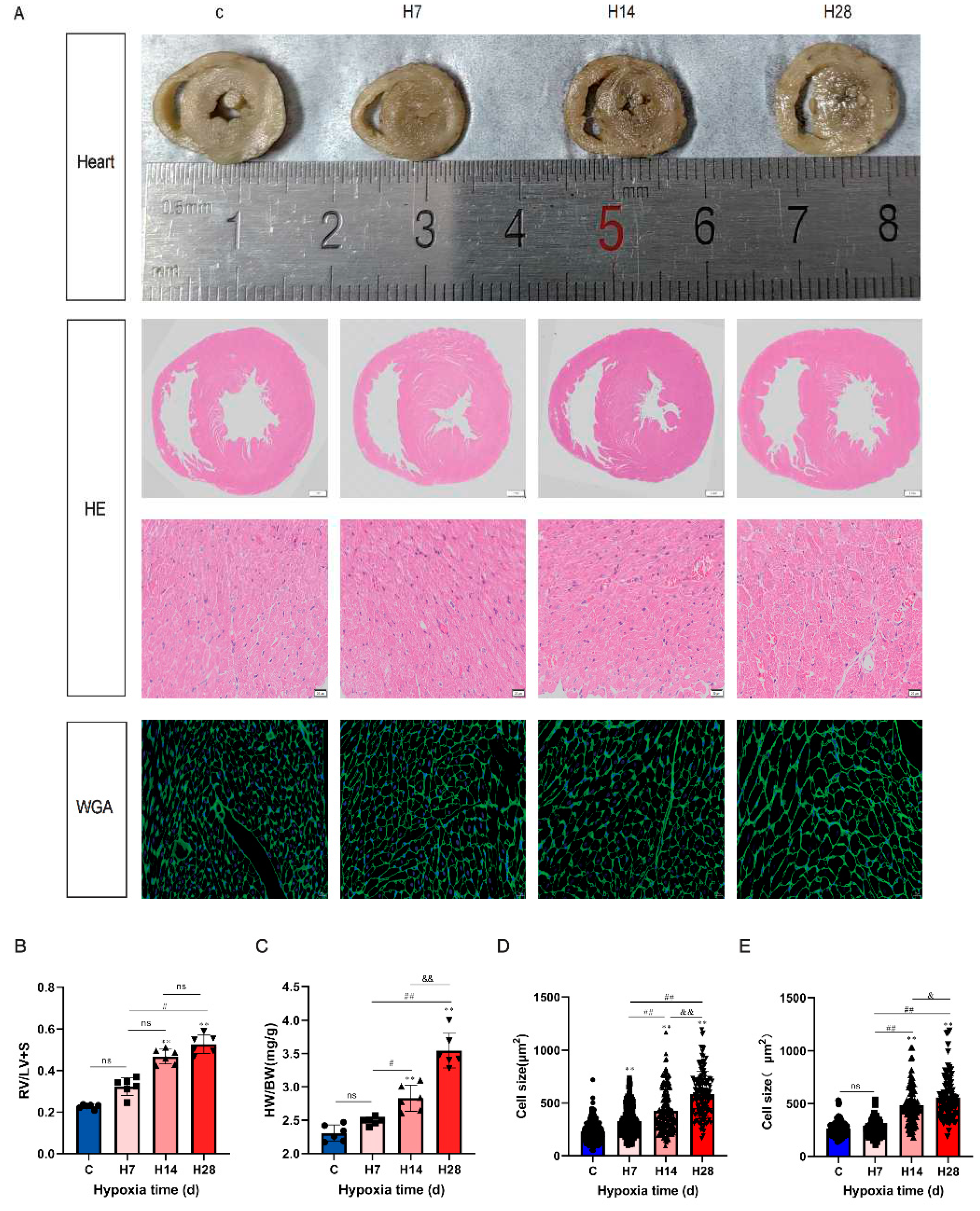 Preprints 68627 g002