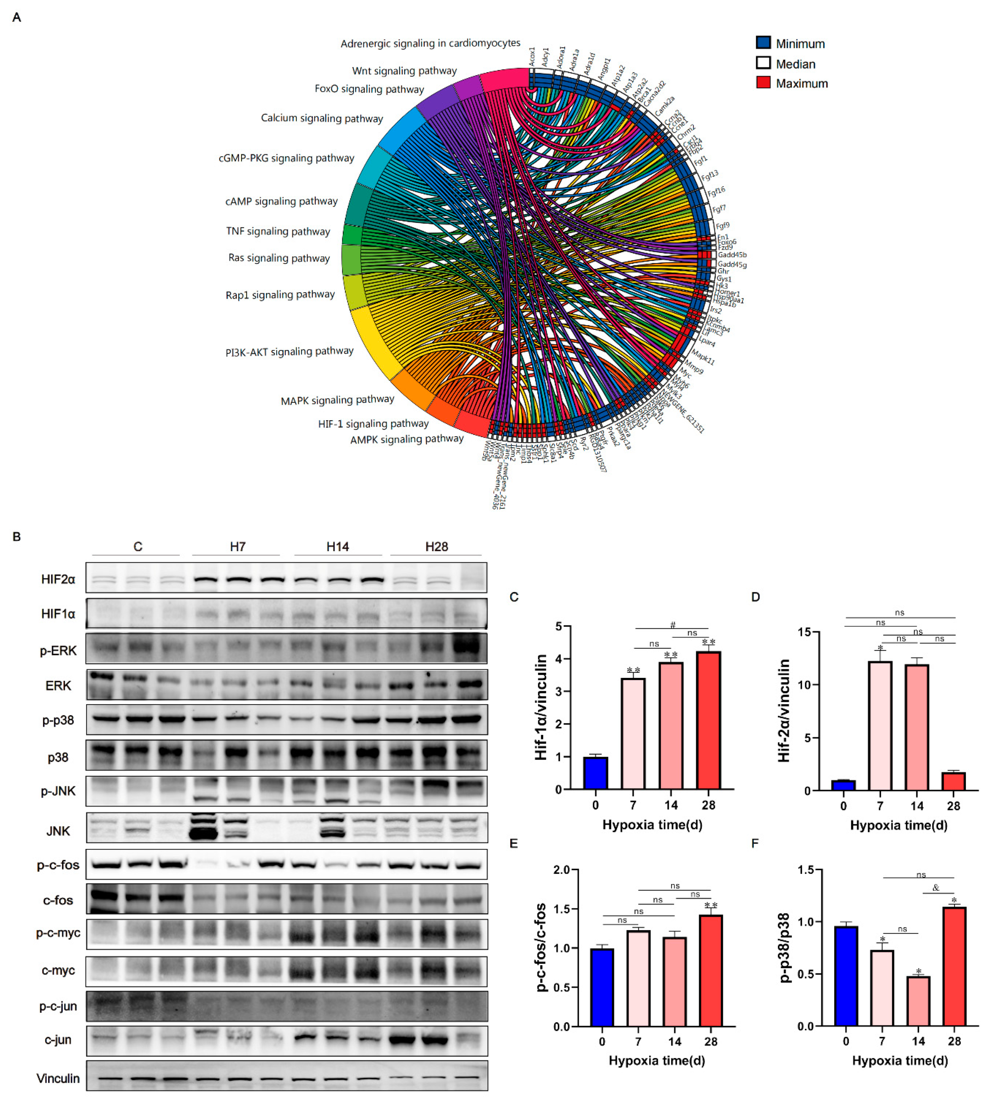 Preprints 68627 g004