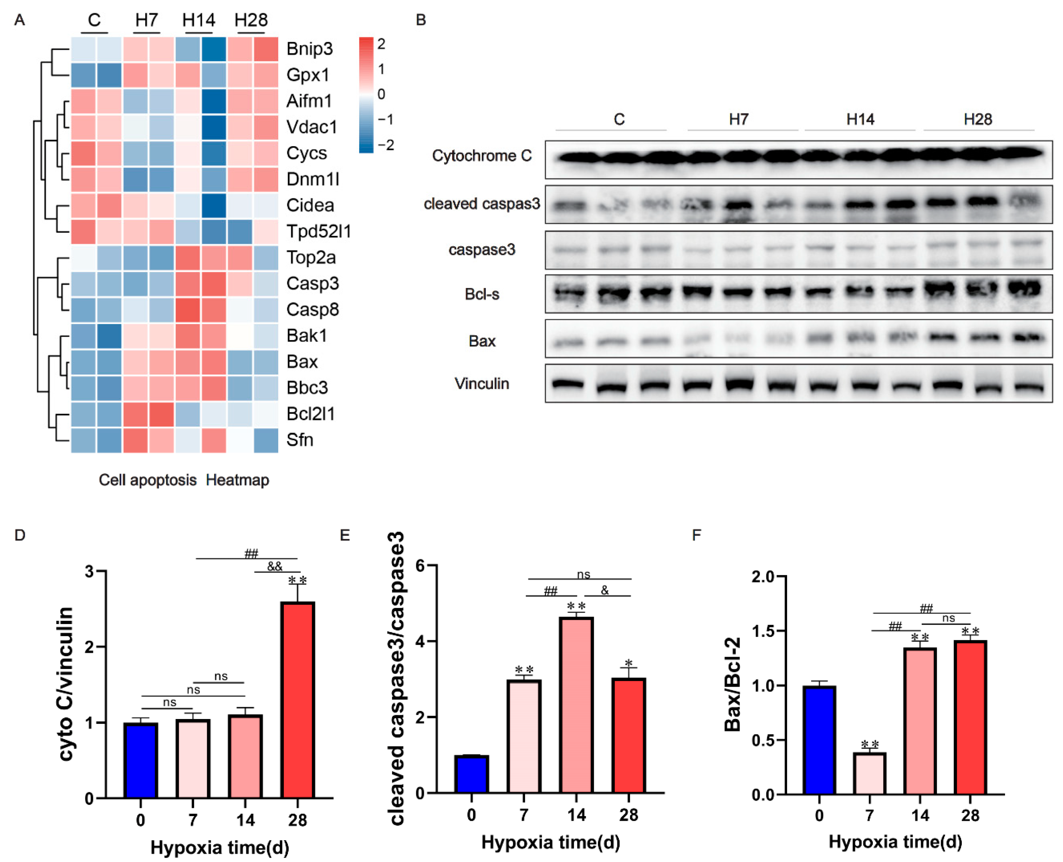 Preprints 68627 g005