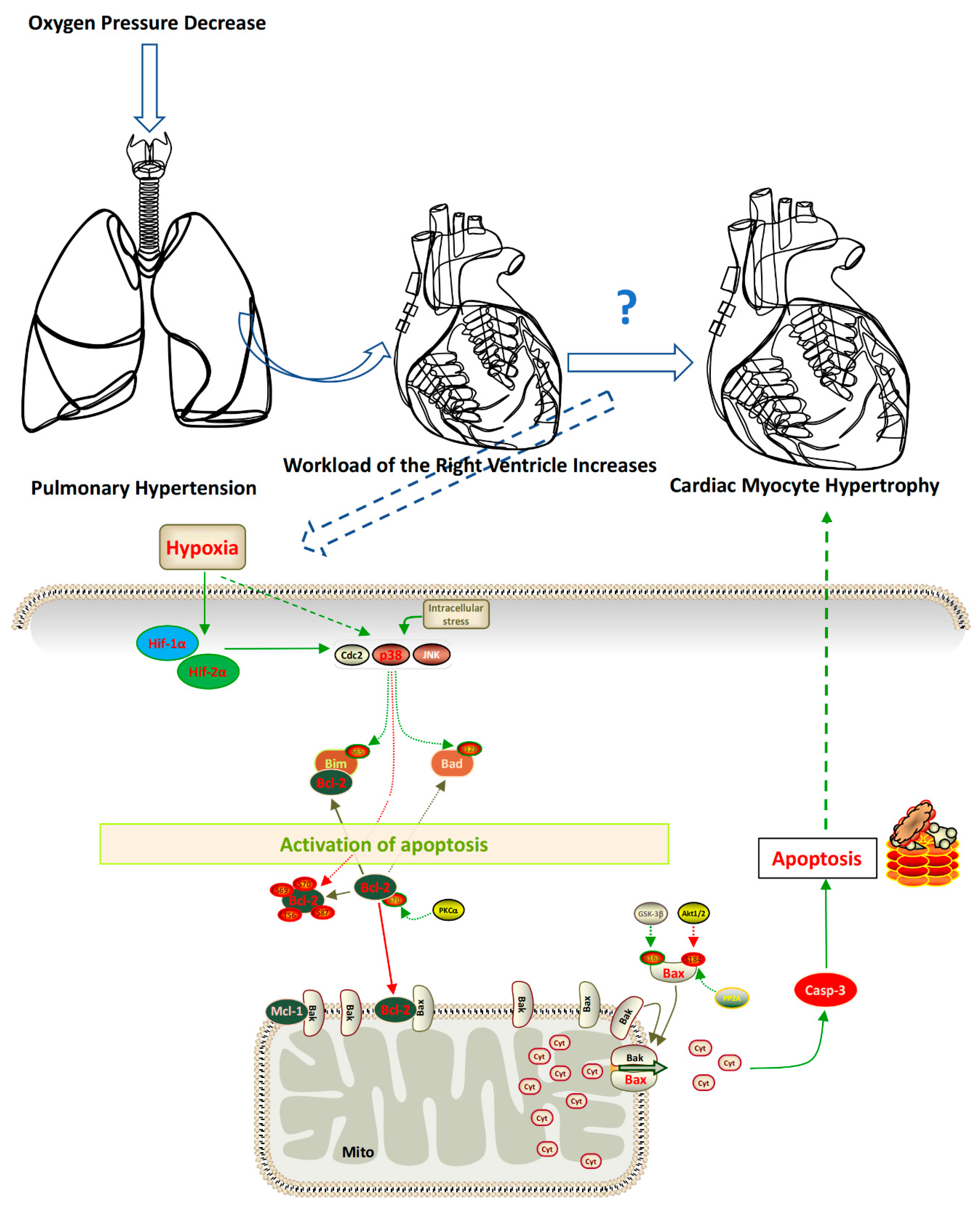 Preprints 68627 g006