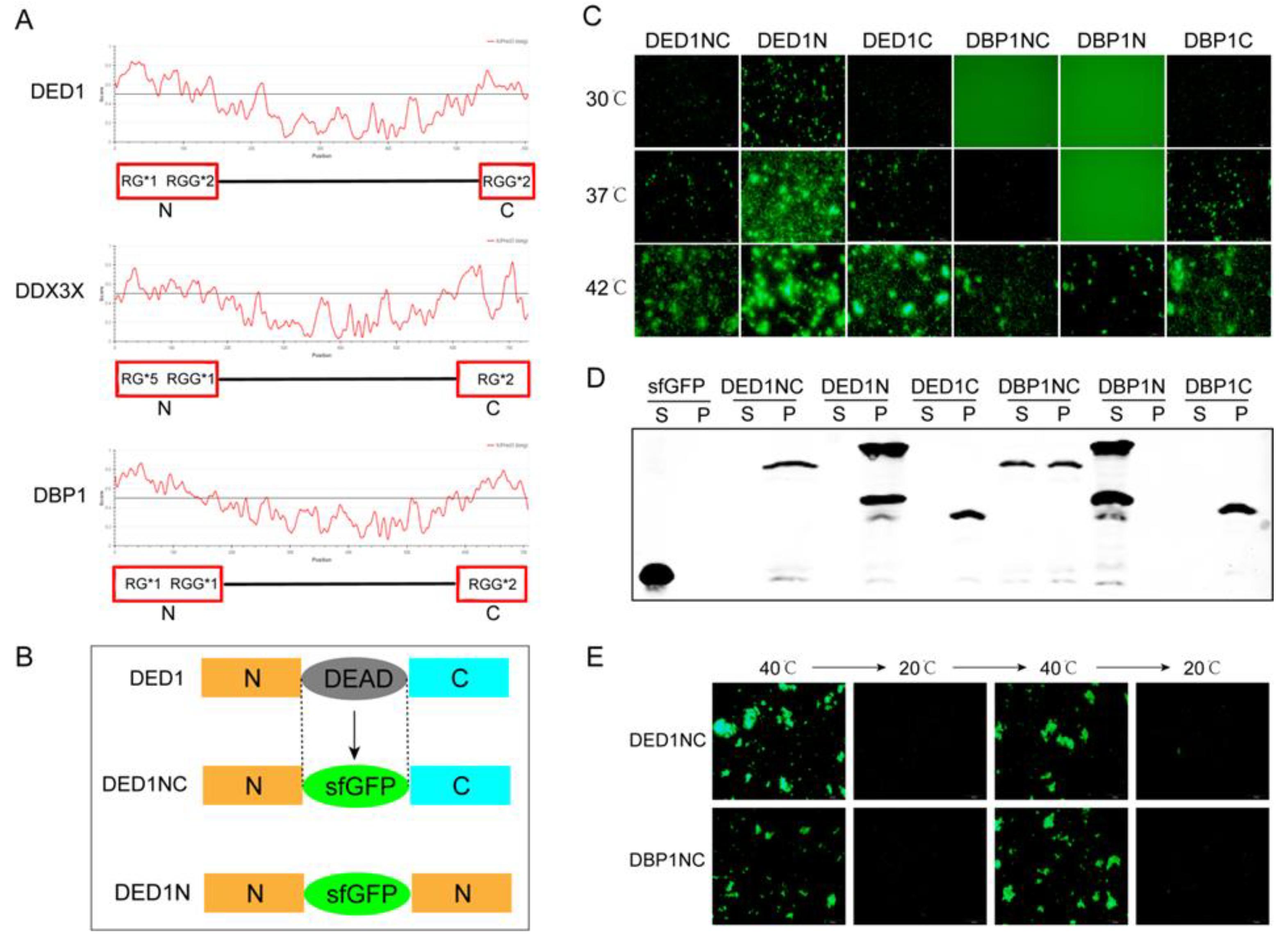 Preprints 105357 g001