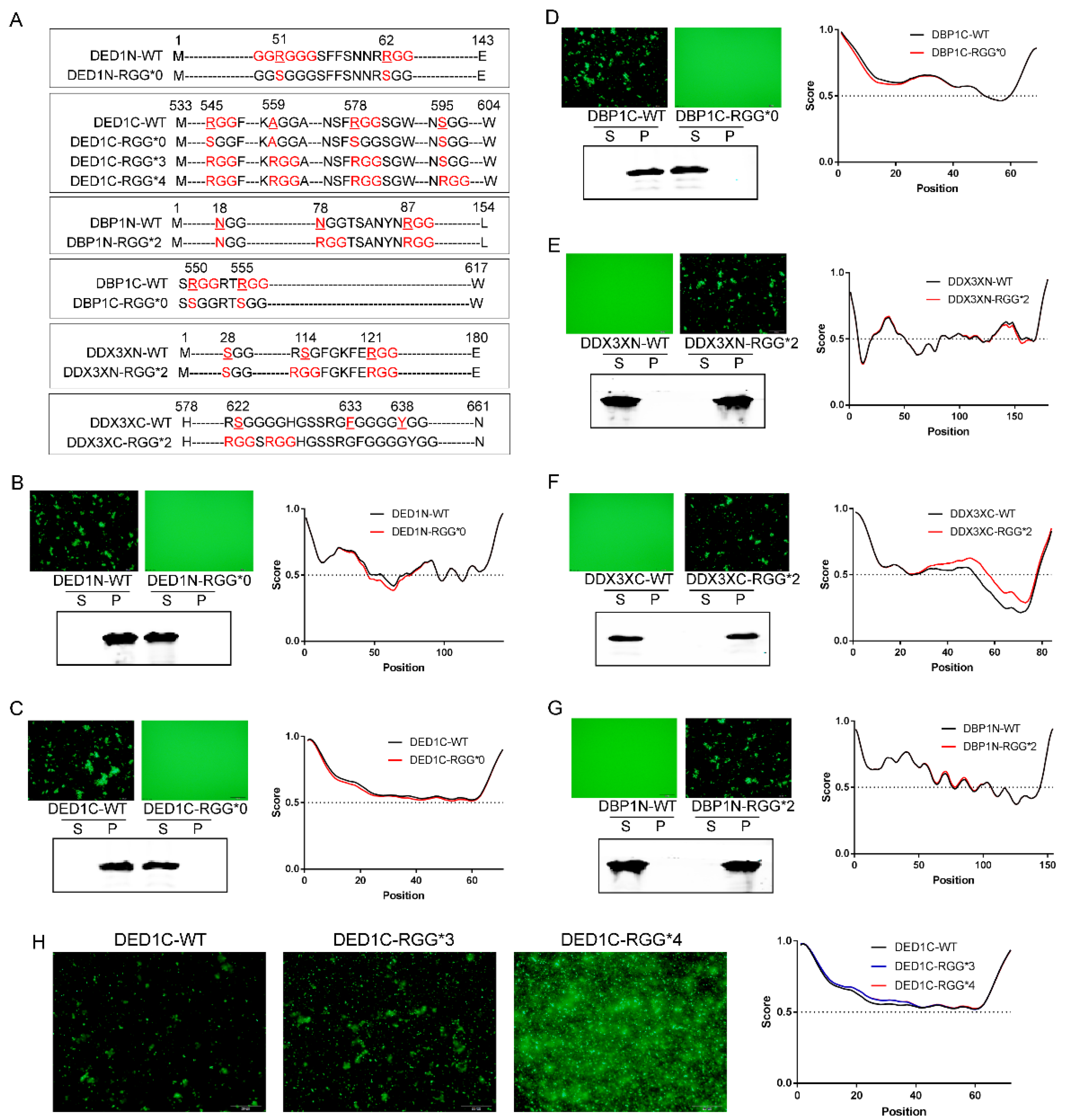 Preprints 105357 g002