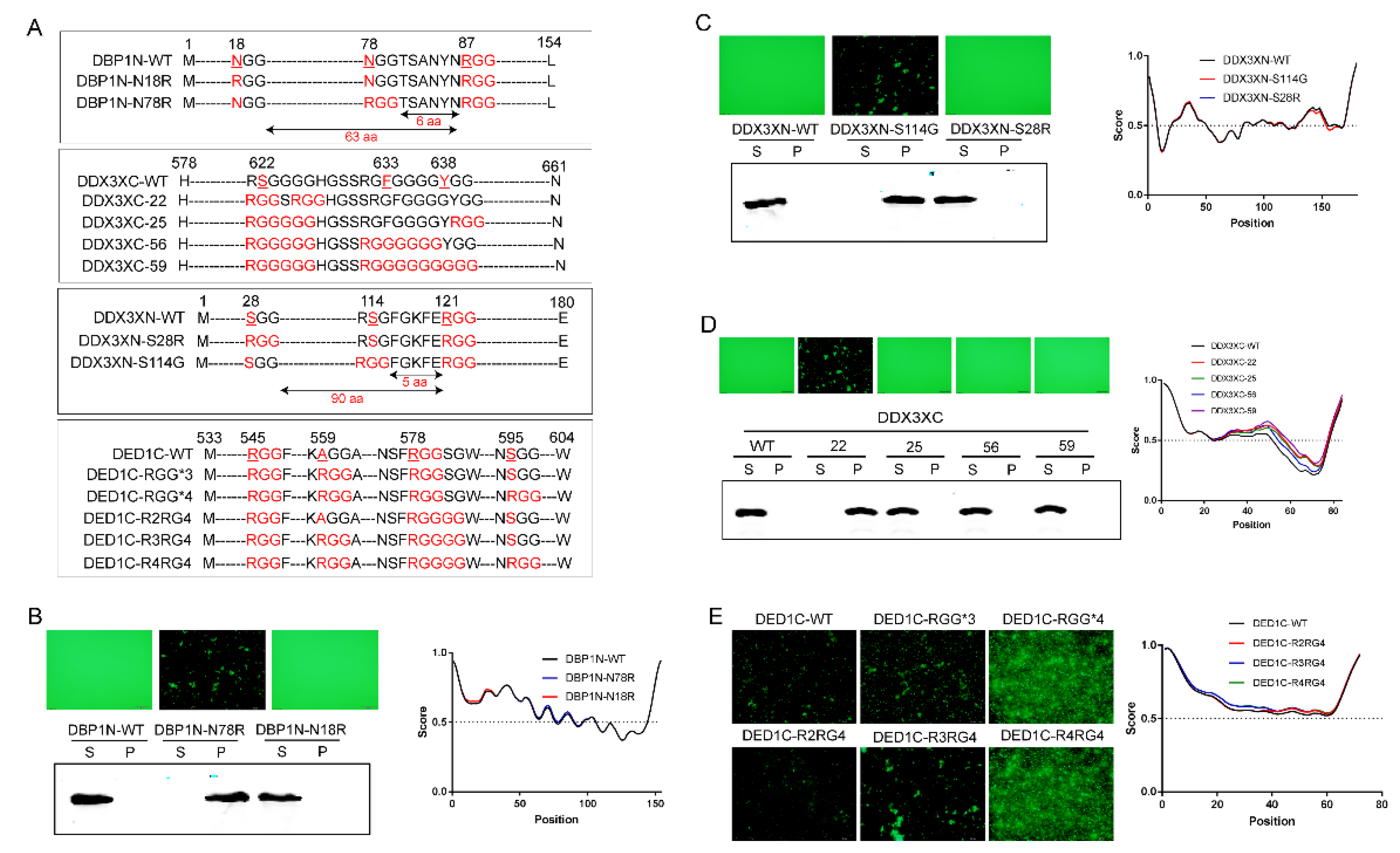 Preprints 105357 g003