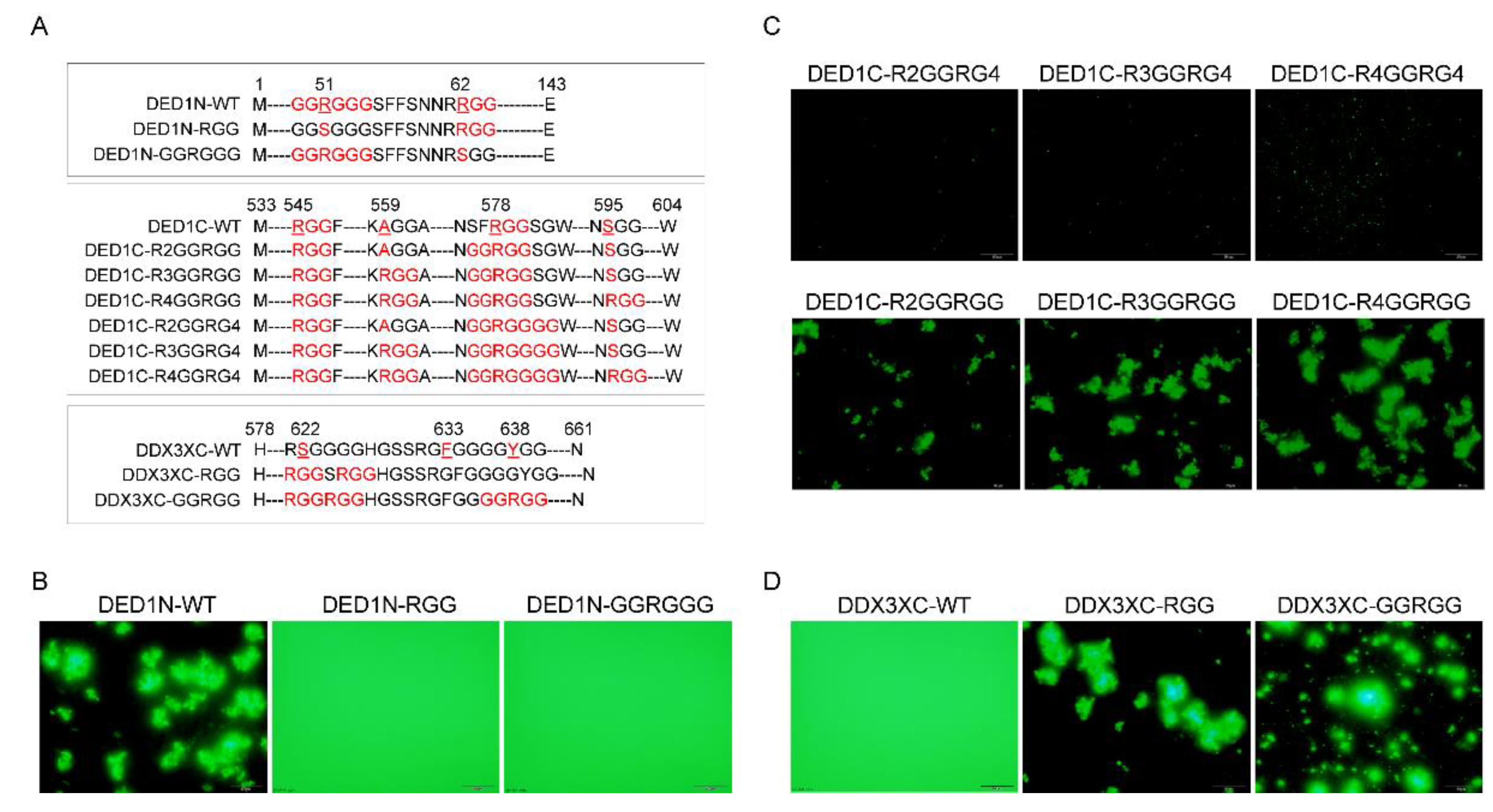 Preprints 105357 g004