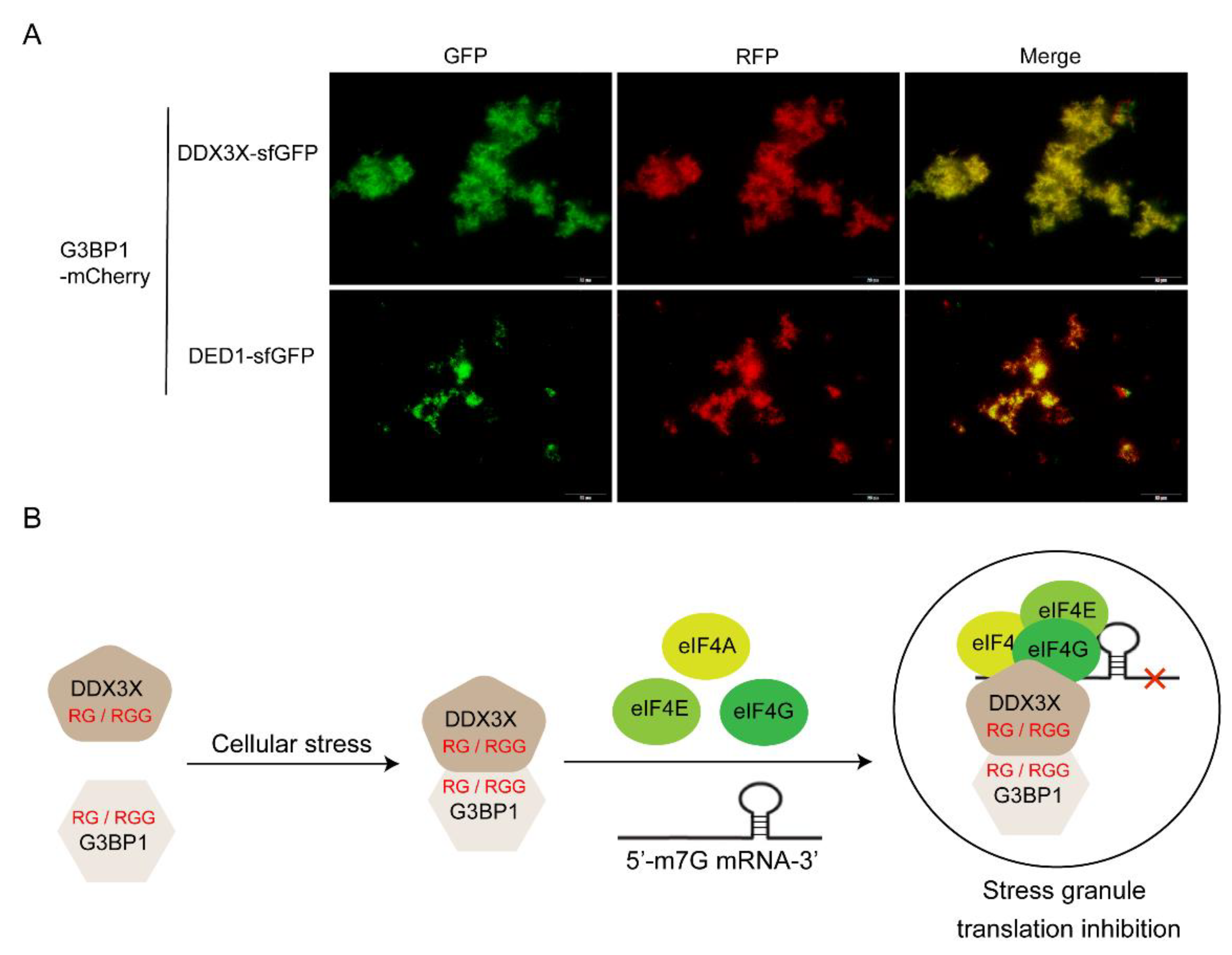 Preprints 105357 g007