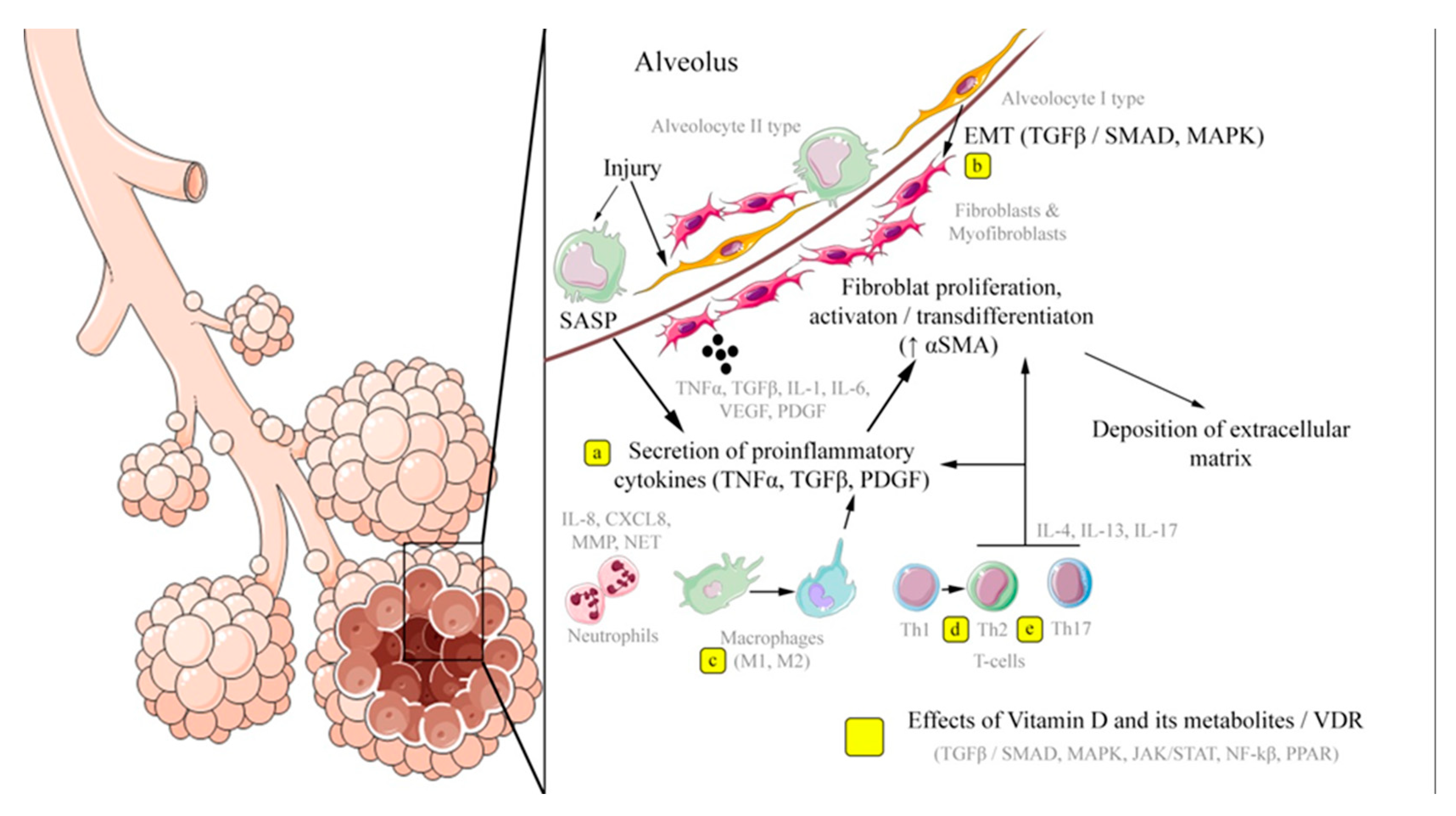 Preprints 112744 g002