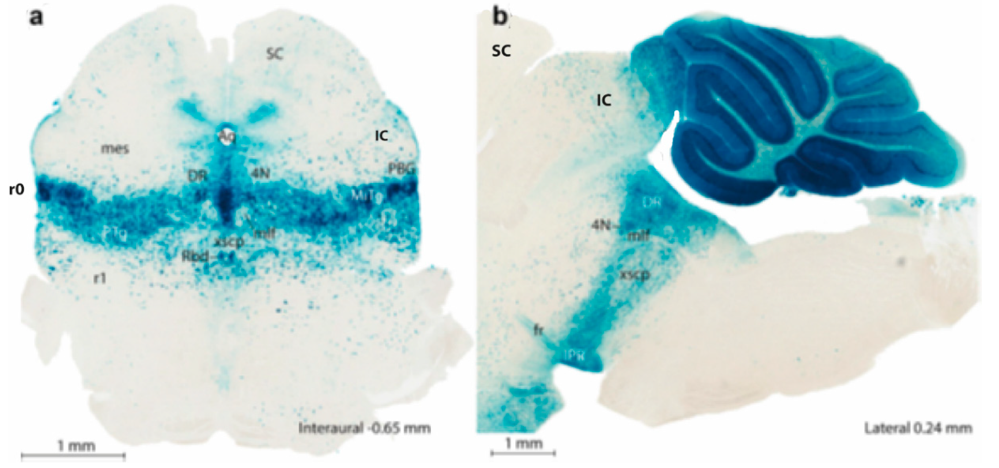 Preprints 96756 g002