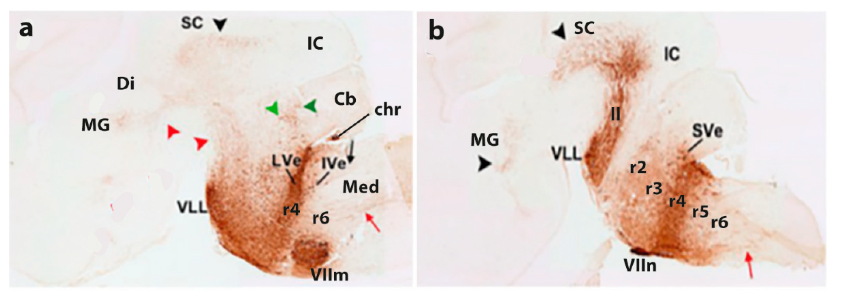 Preprints 96756 g003