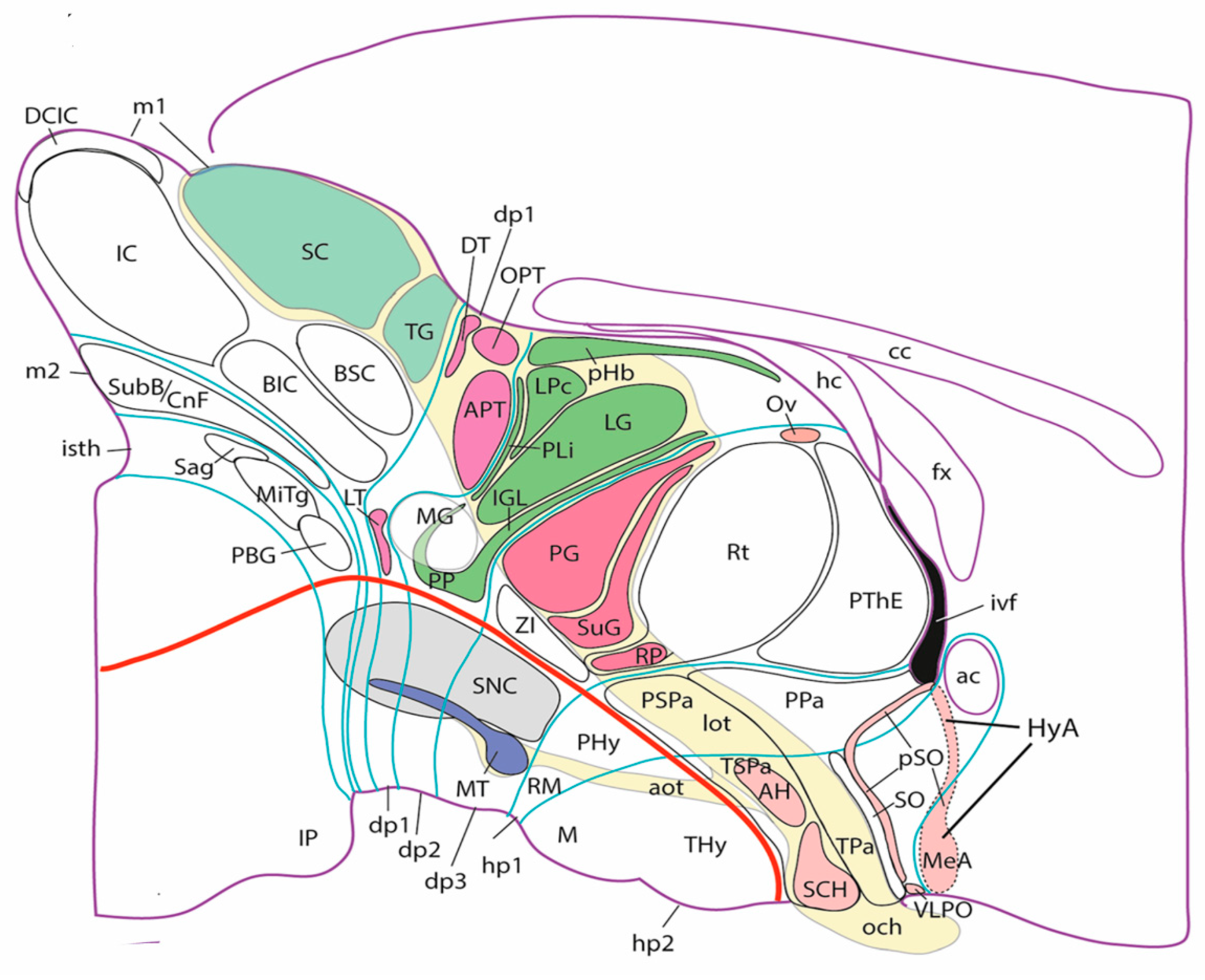 Preprints 96756 g004