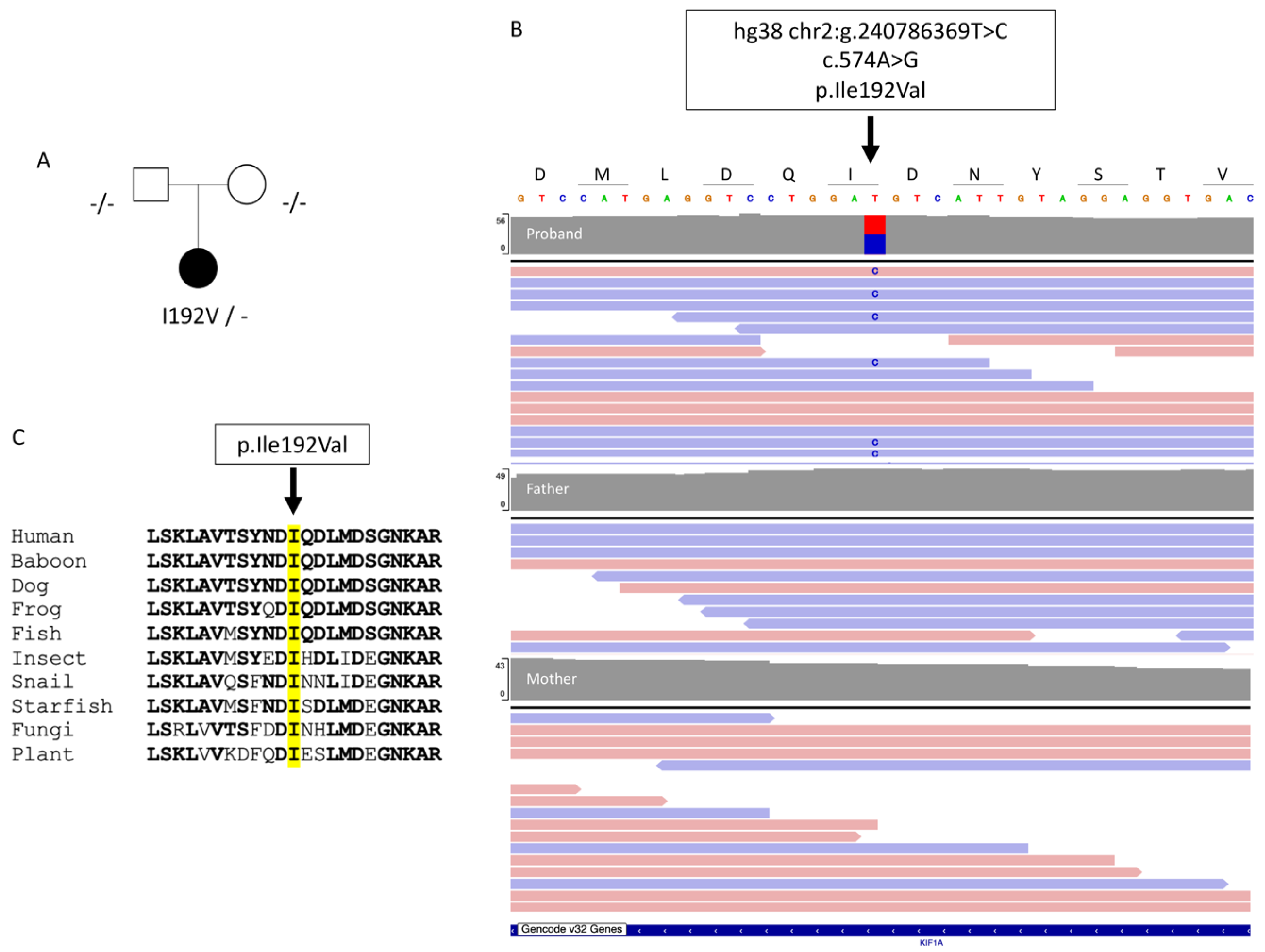 Preprints 111142 g001