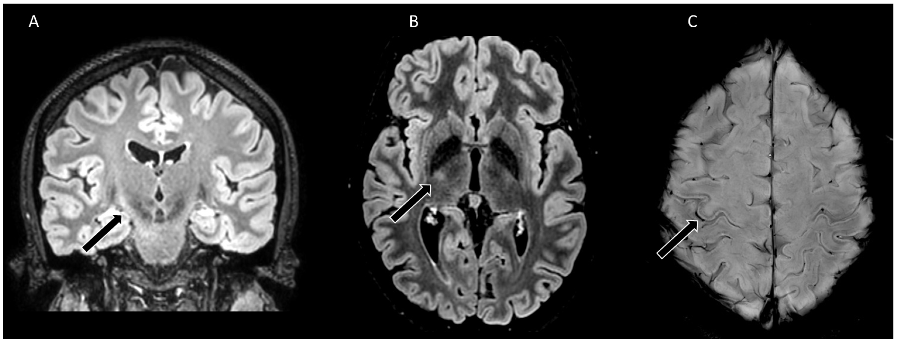 Preprints 111142 g002