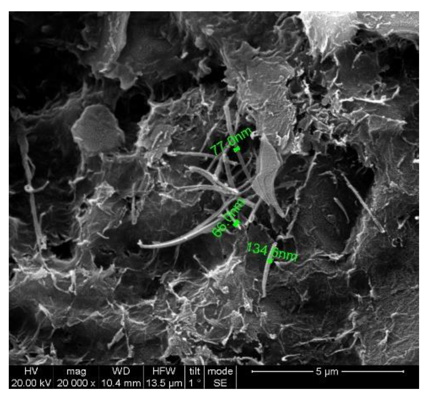 Preprints 109188 g010