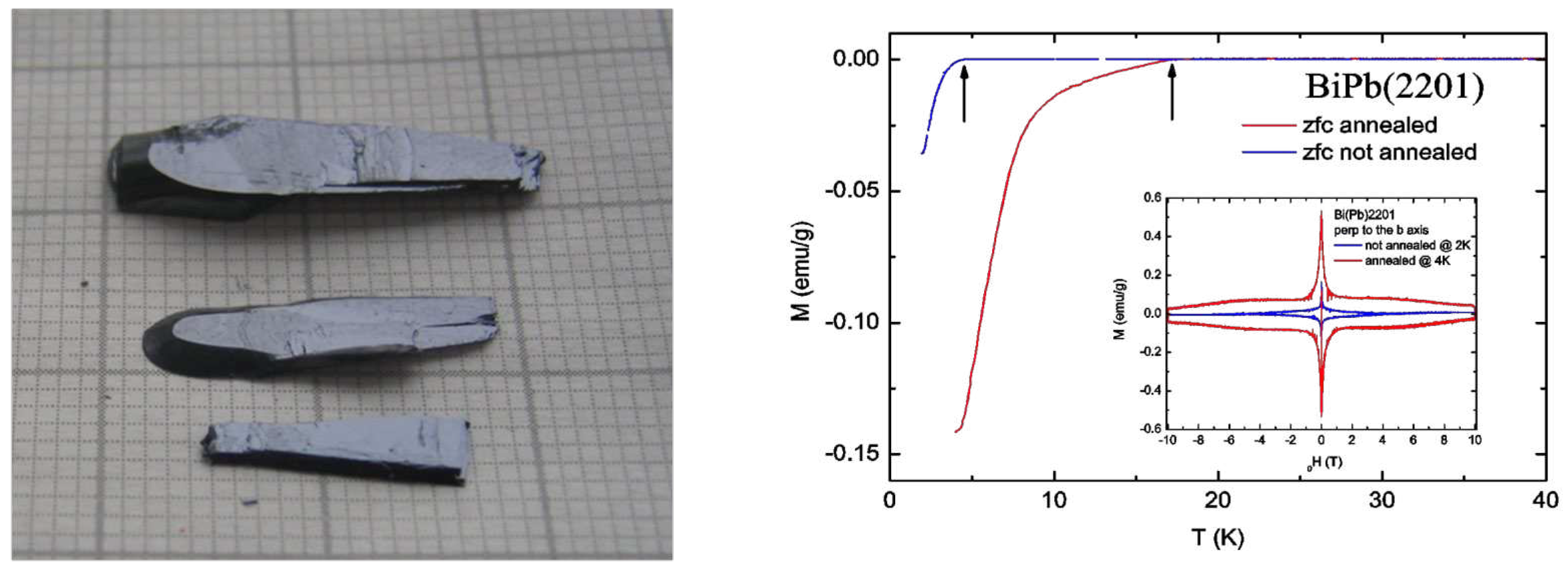 Preprints 99068 g002