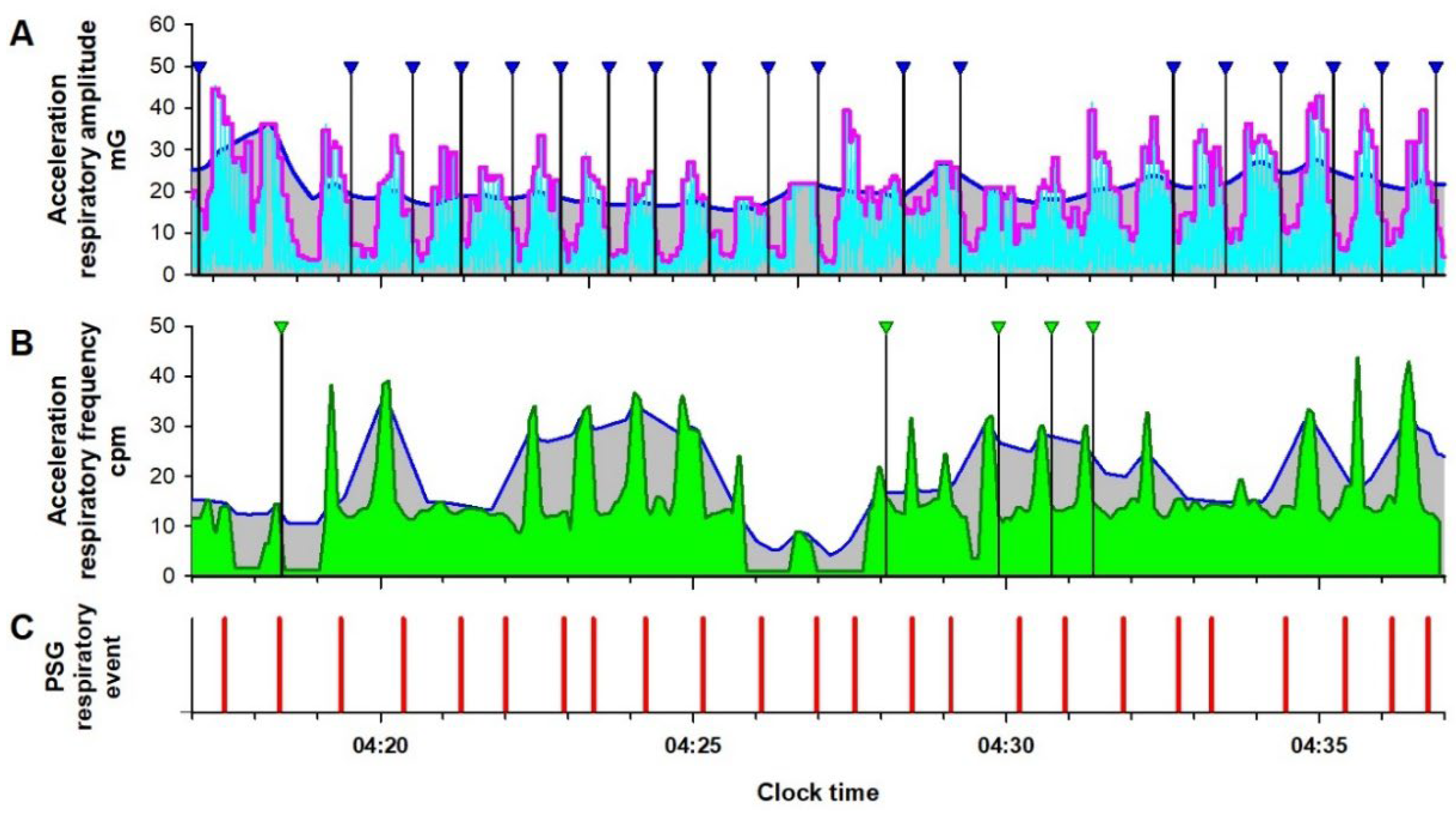 Preprints 121543 g002