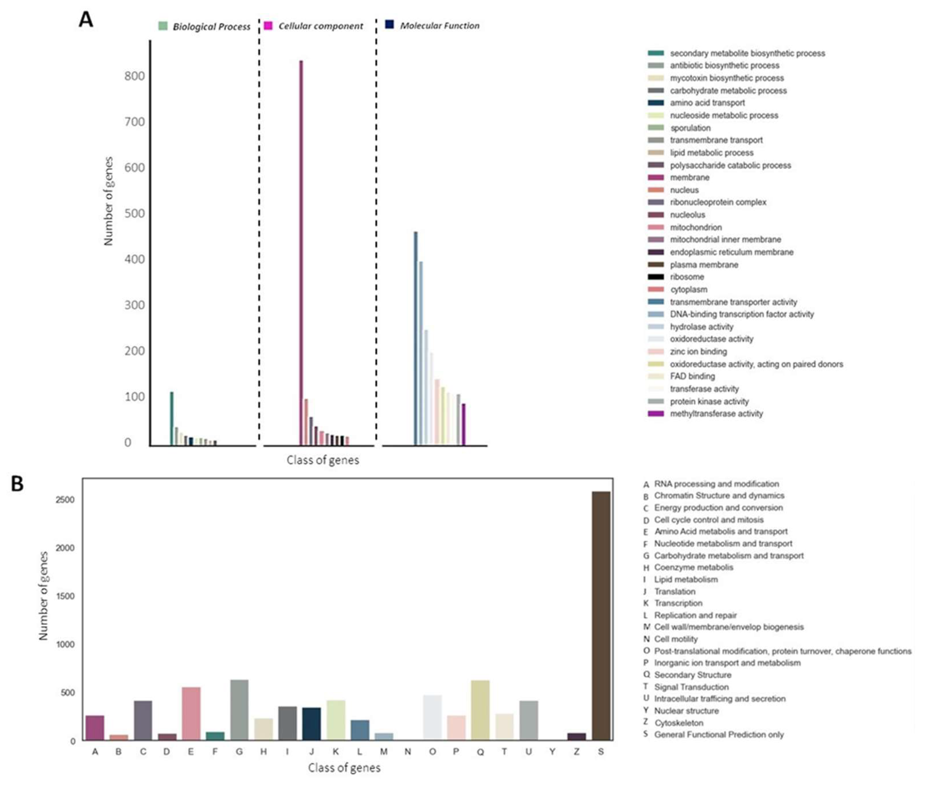 Preprints 109101 g002