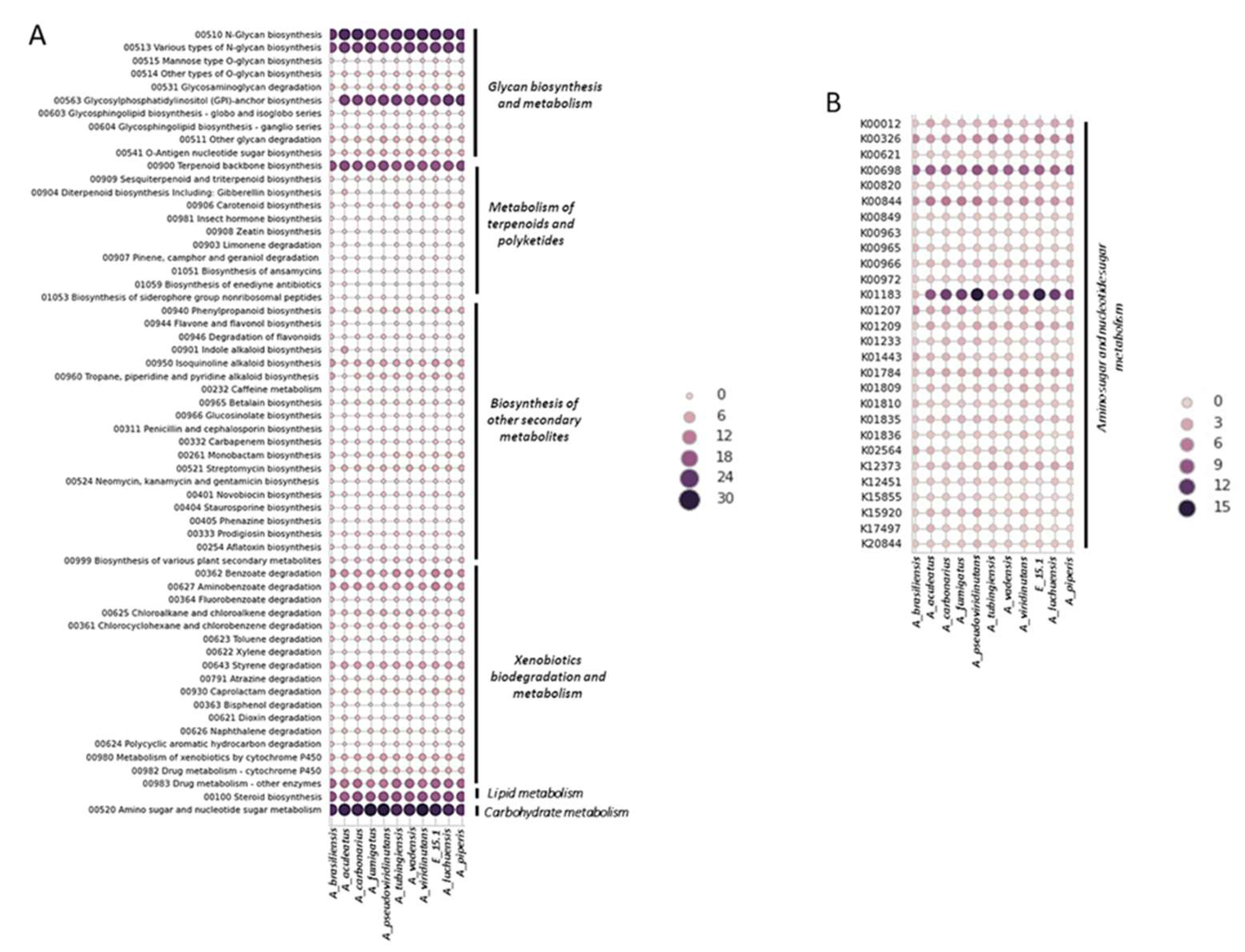 Preprints 109101 g003