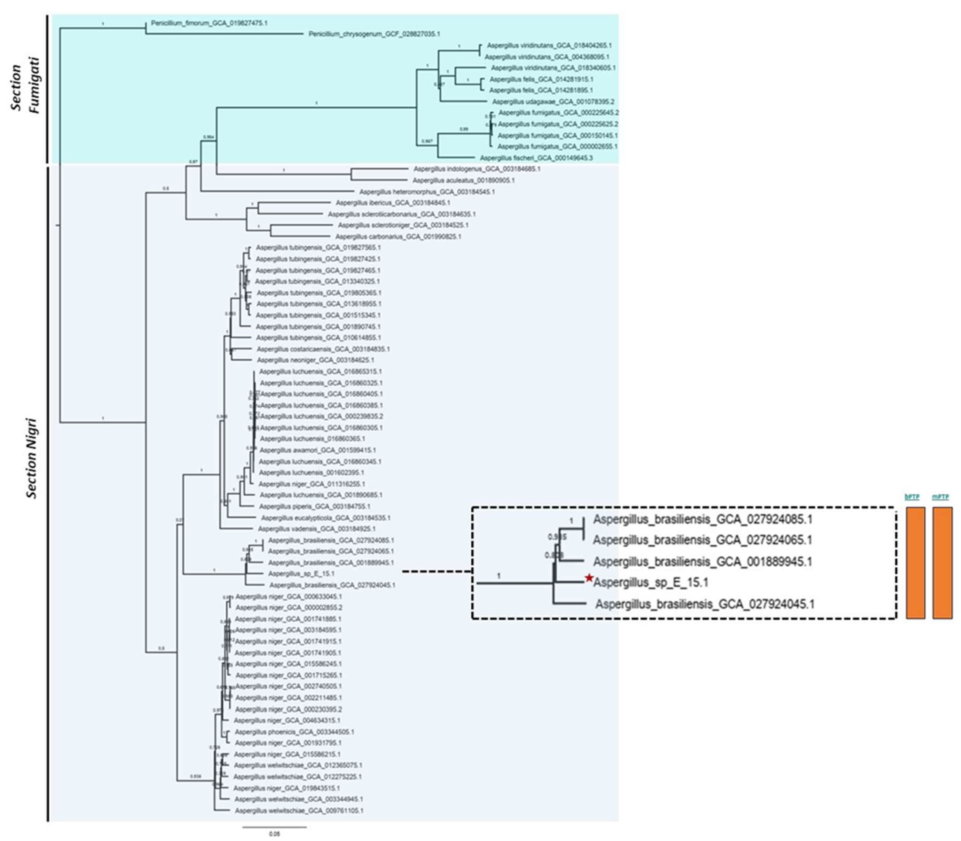 Preprints 109101 g005