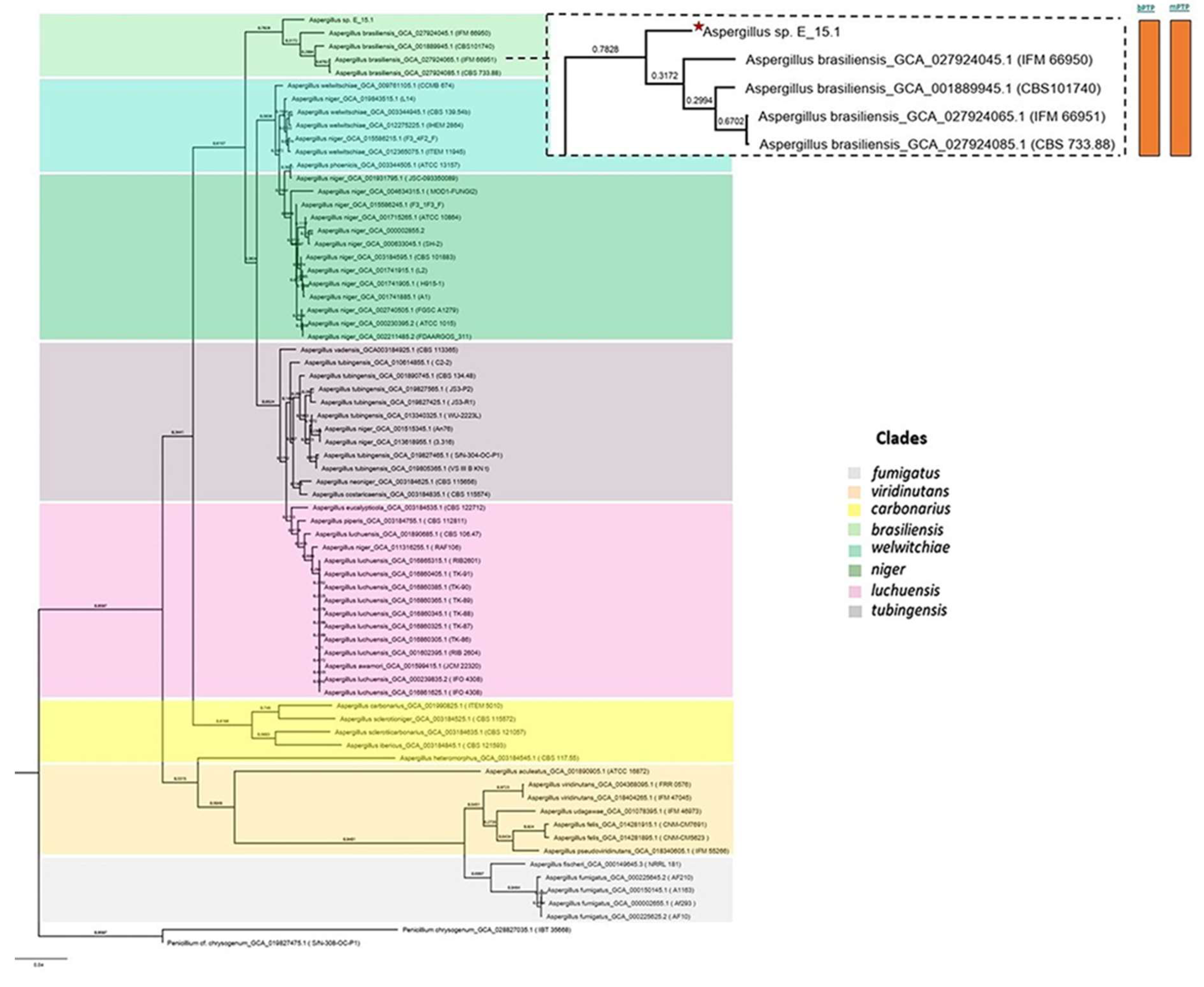 Preprints 109101 g006