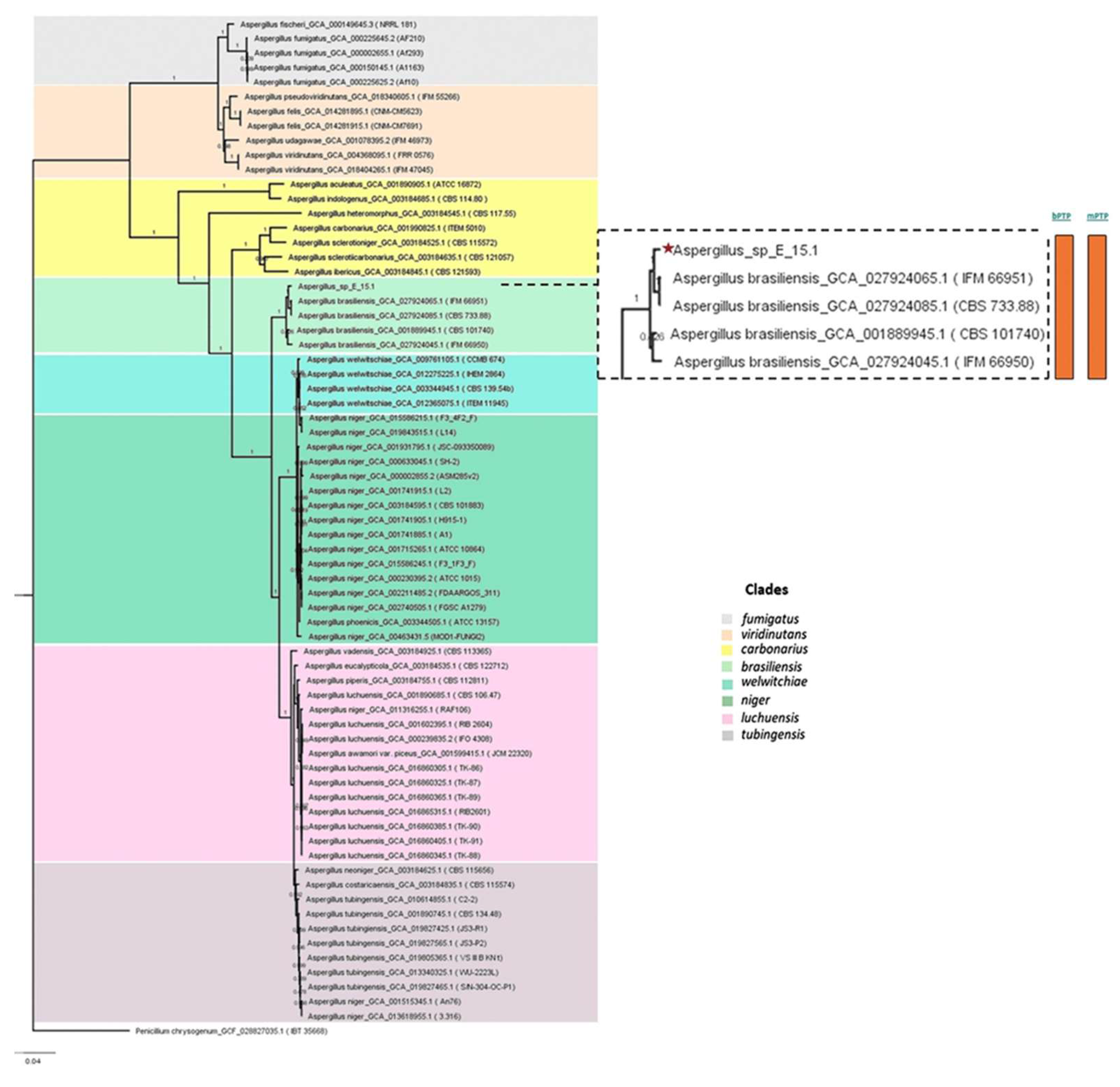 Preprints 109101 g007