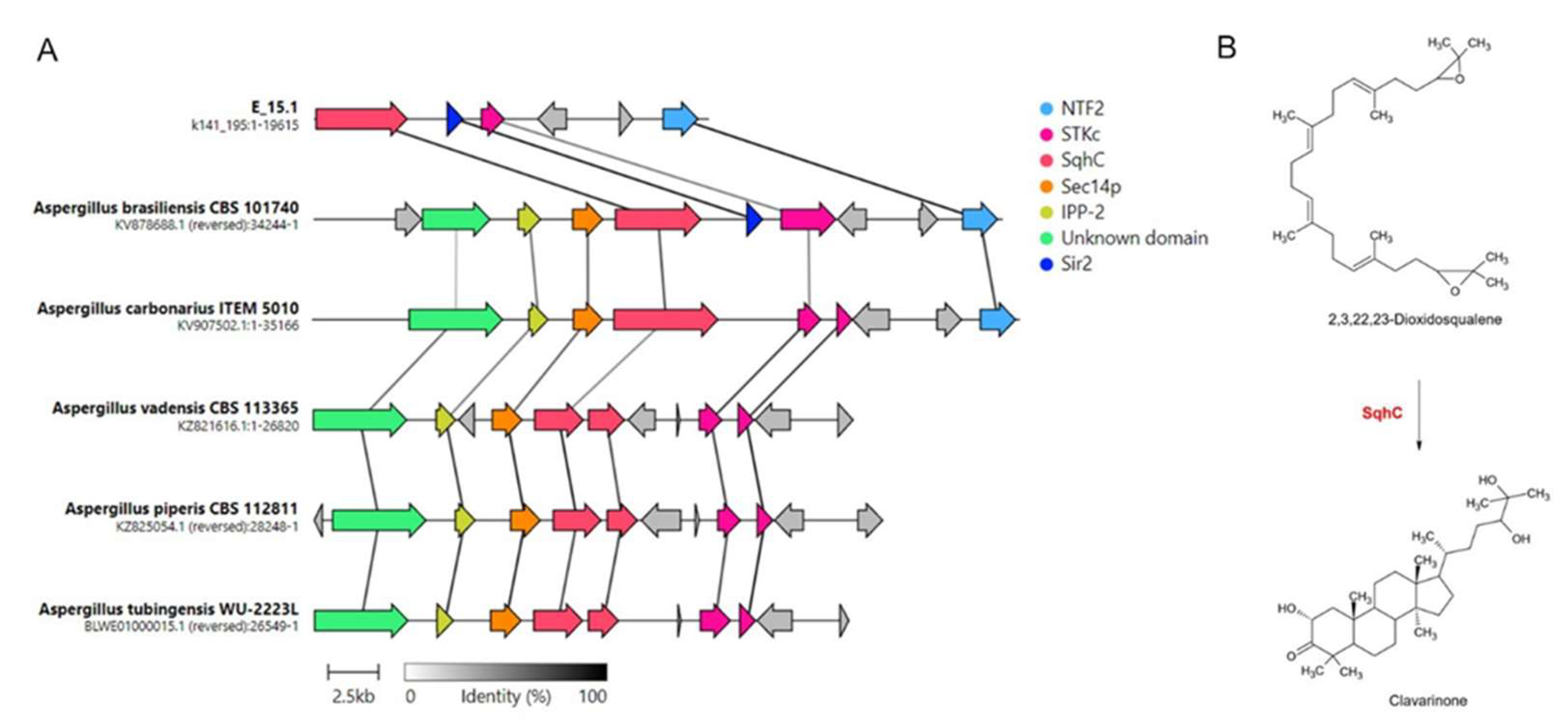 Preprints 109101 g008