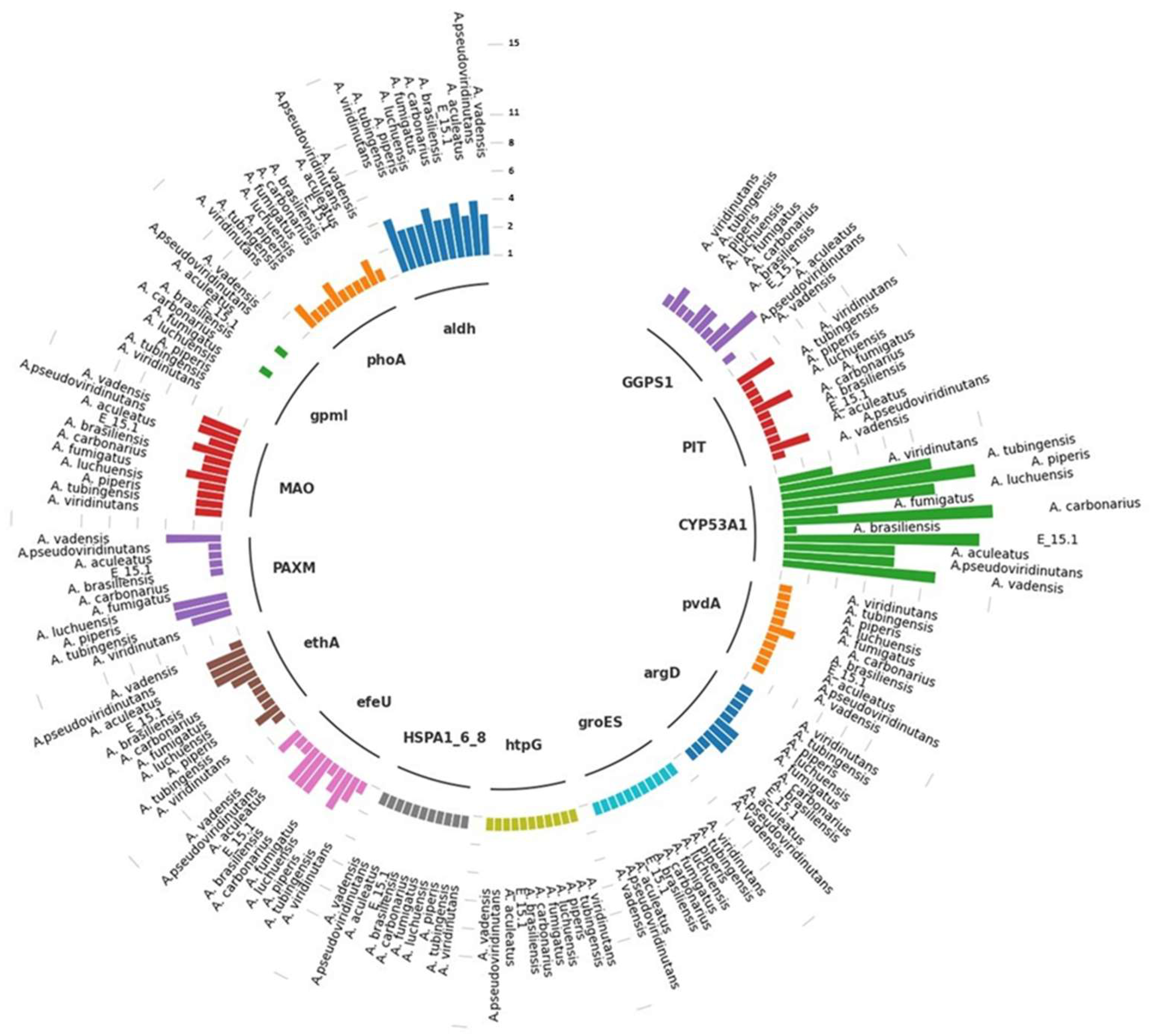 Preprints 109101 g009