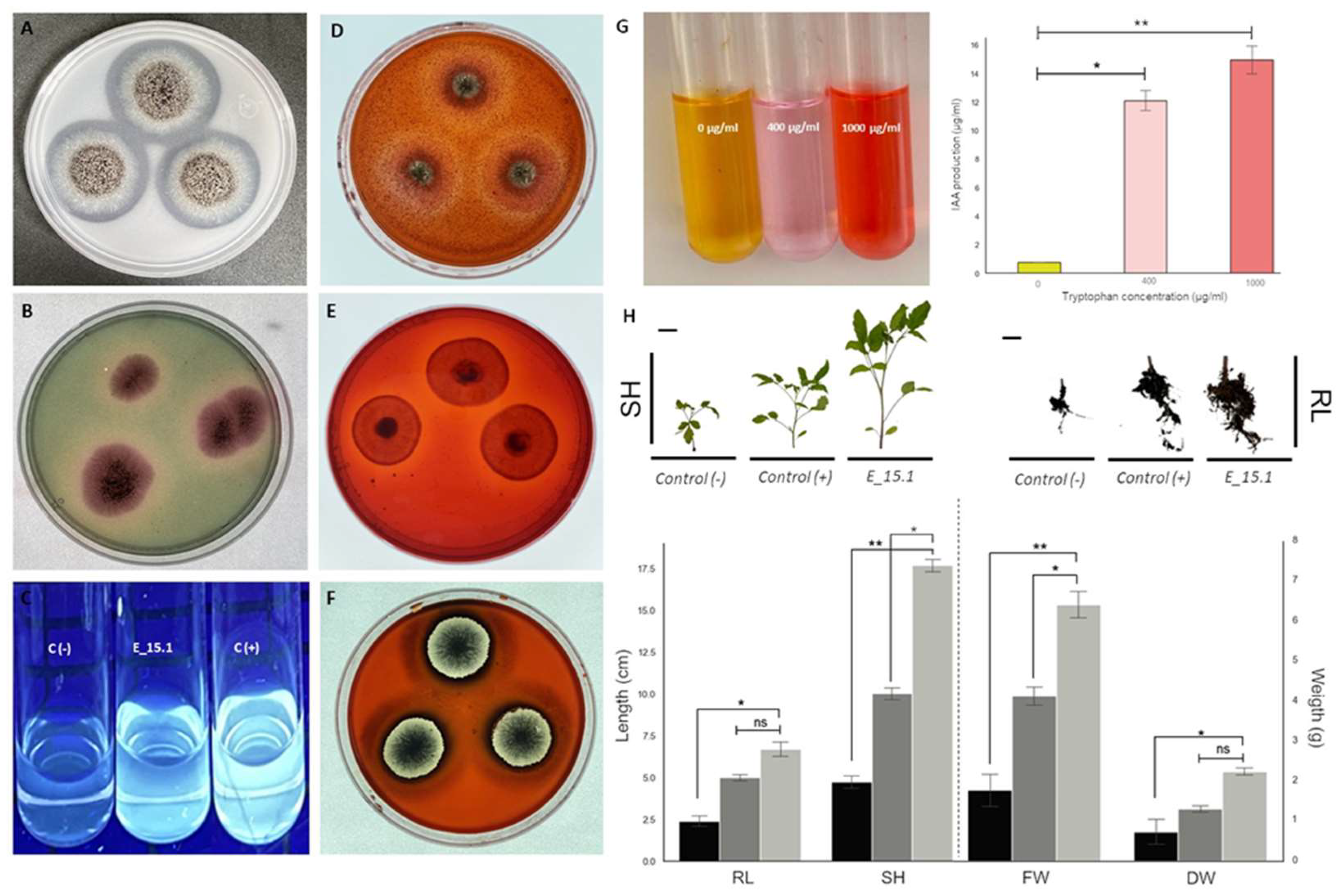 Preprints 109101 g011