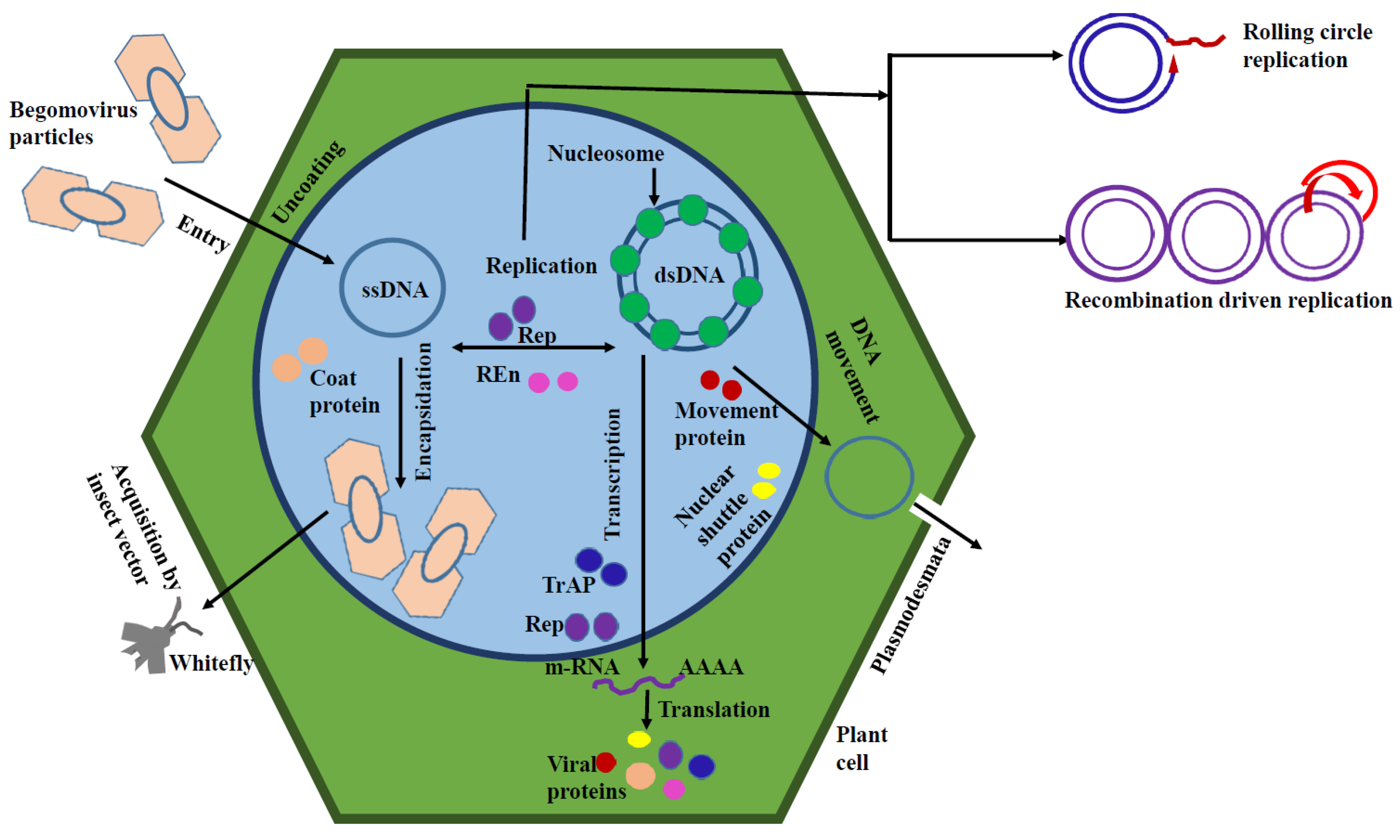 Preprints 73085 g001