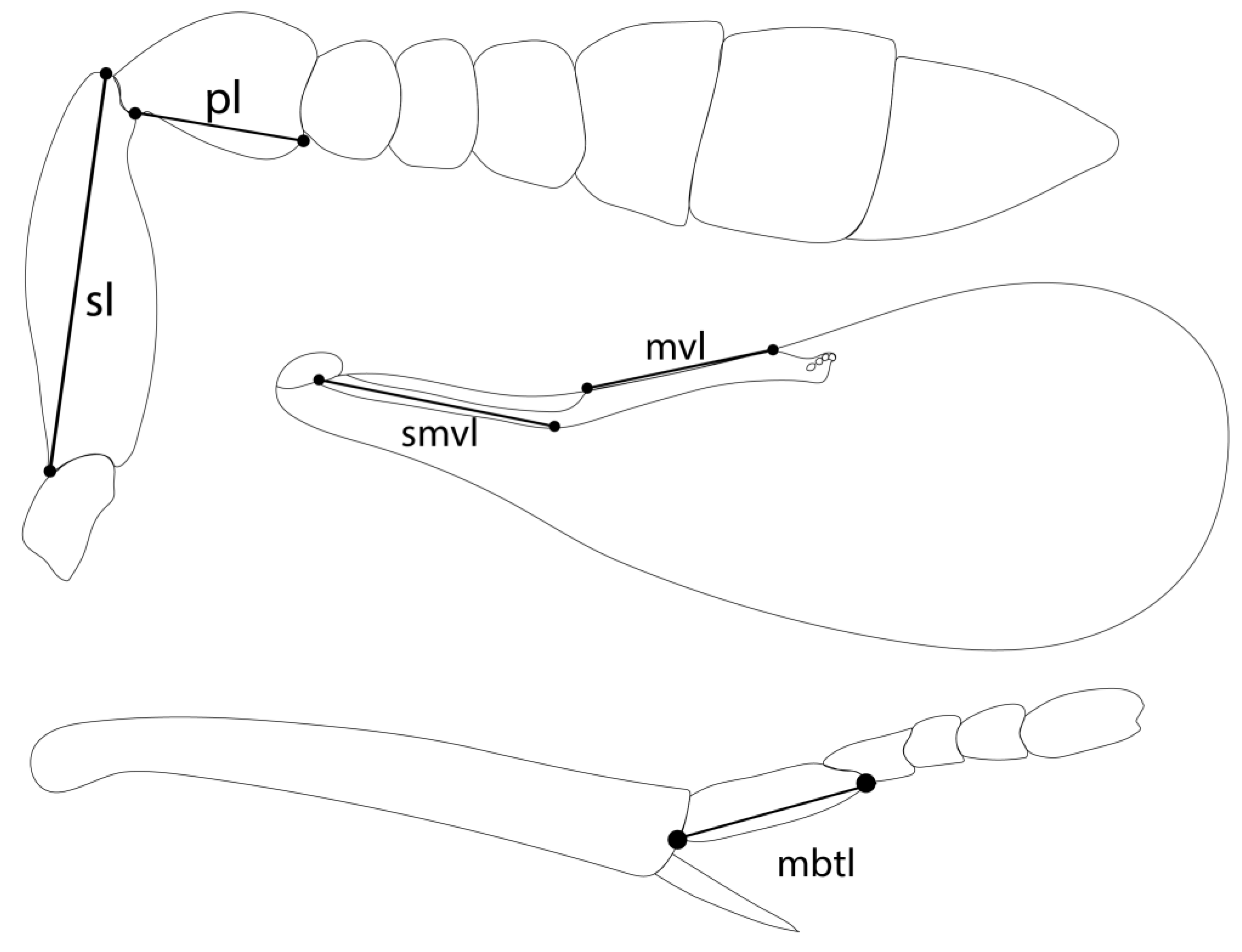 Preprints 73570 g001