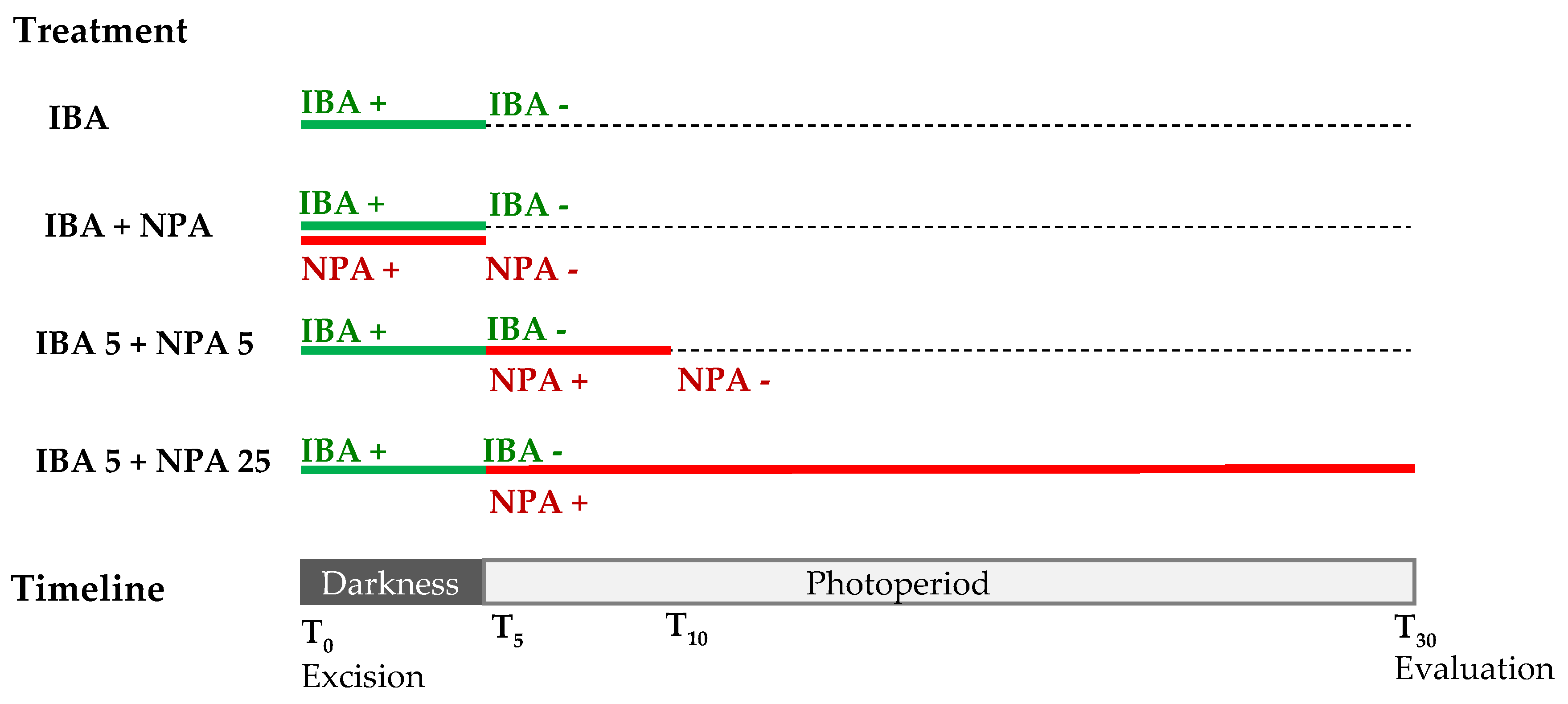 Preprints 77389 g010