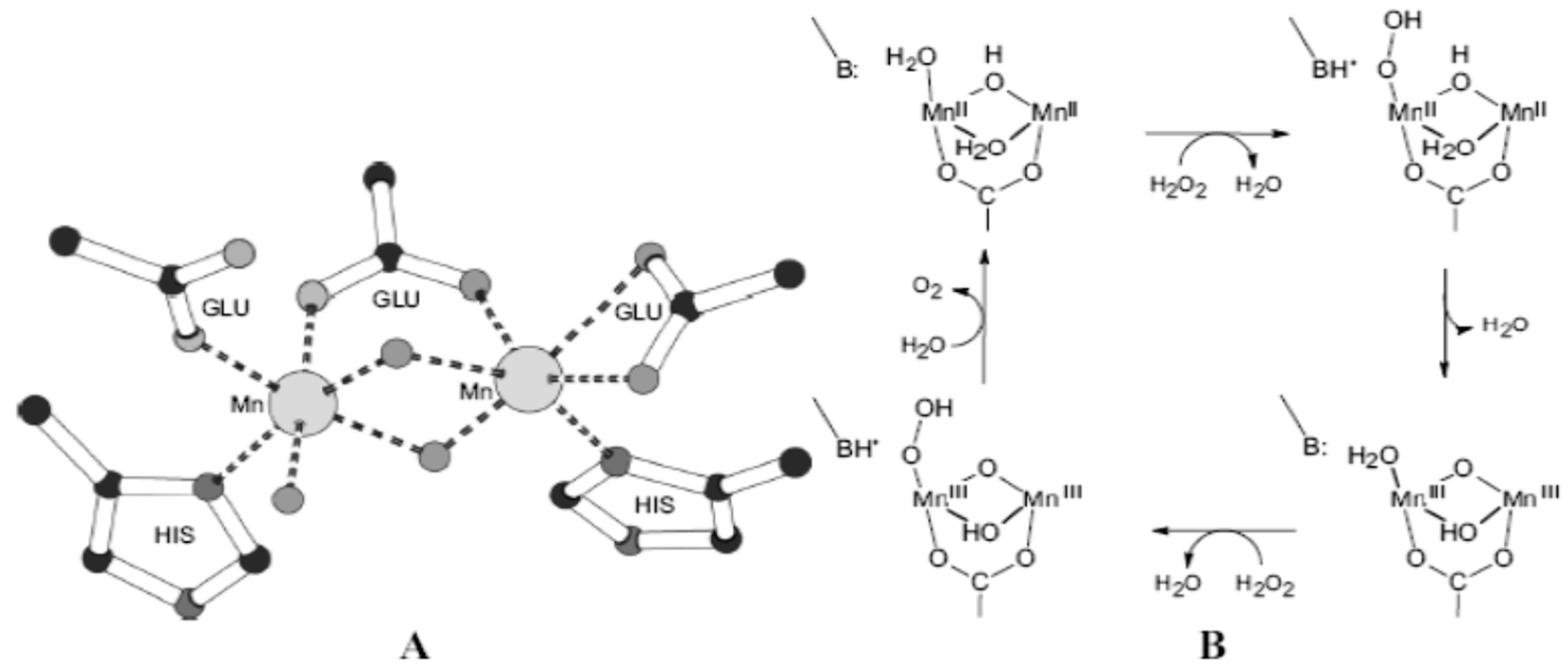 Preprints 86404 g003