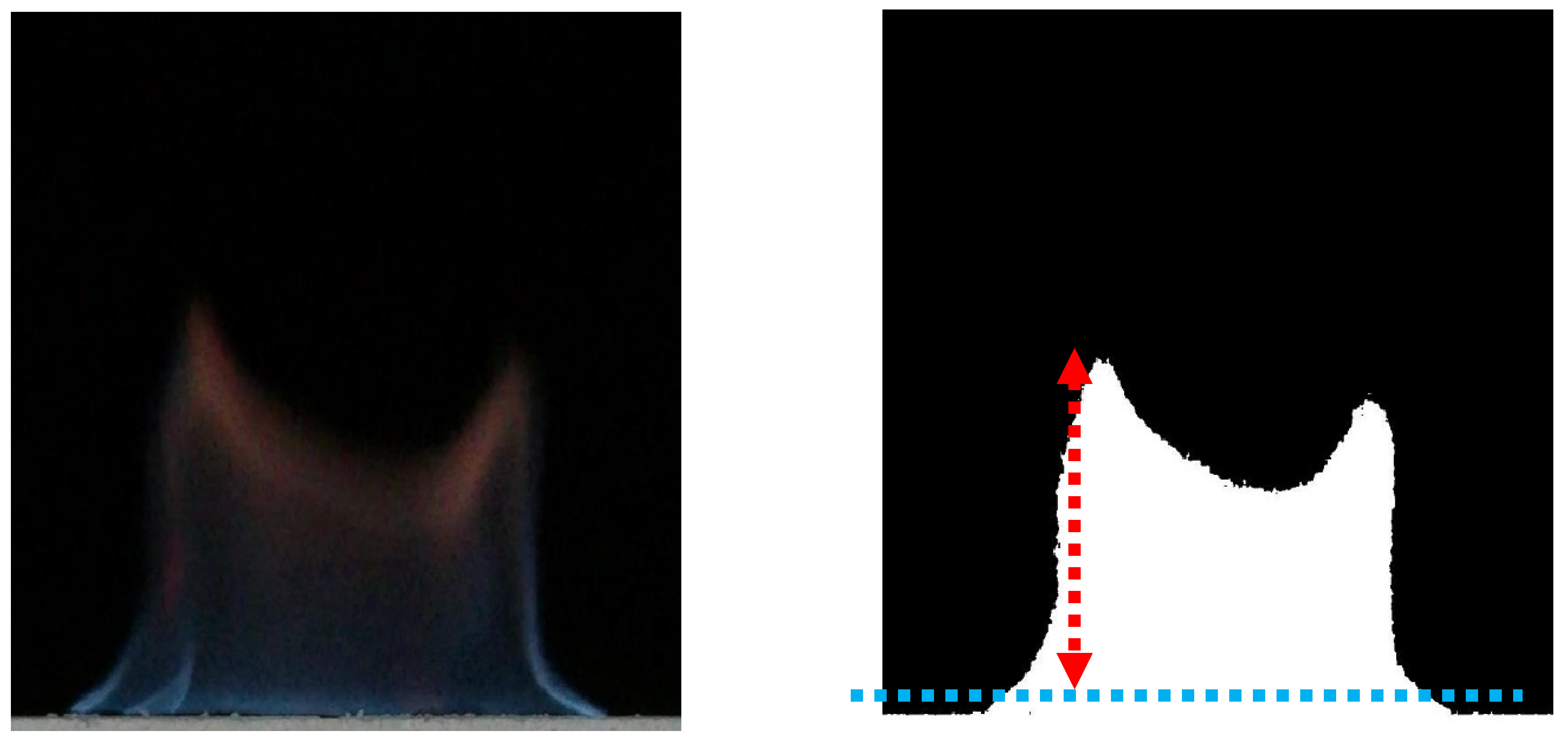 Preprints 90469 g002