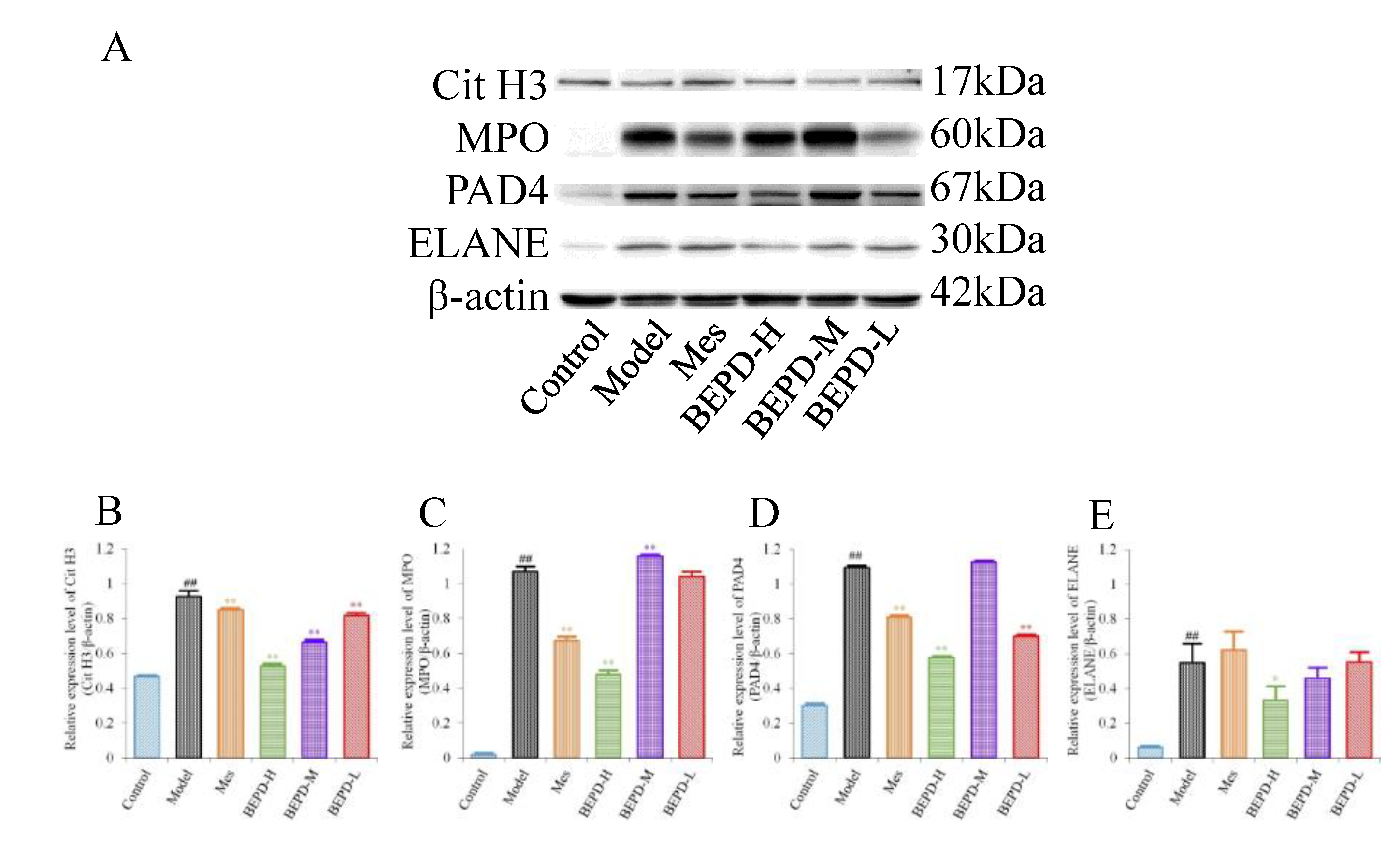 Preprints 110105 g006