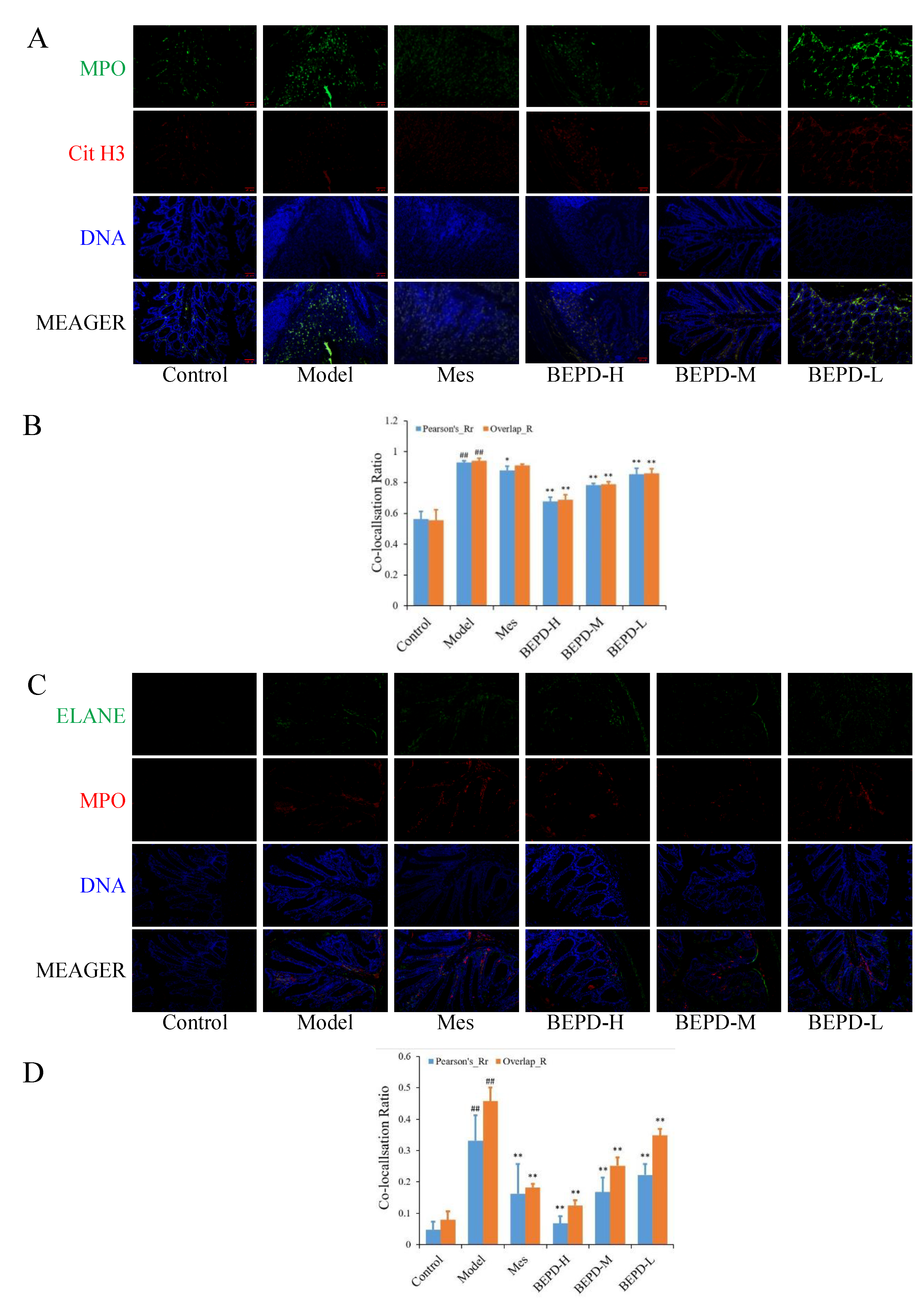 Preprints 110105 g008