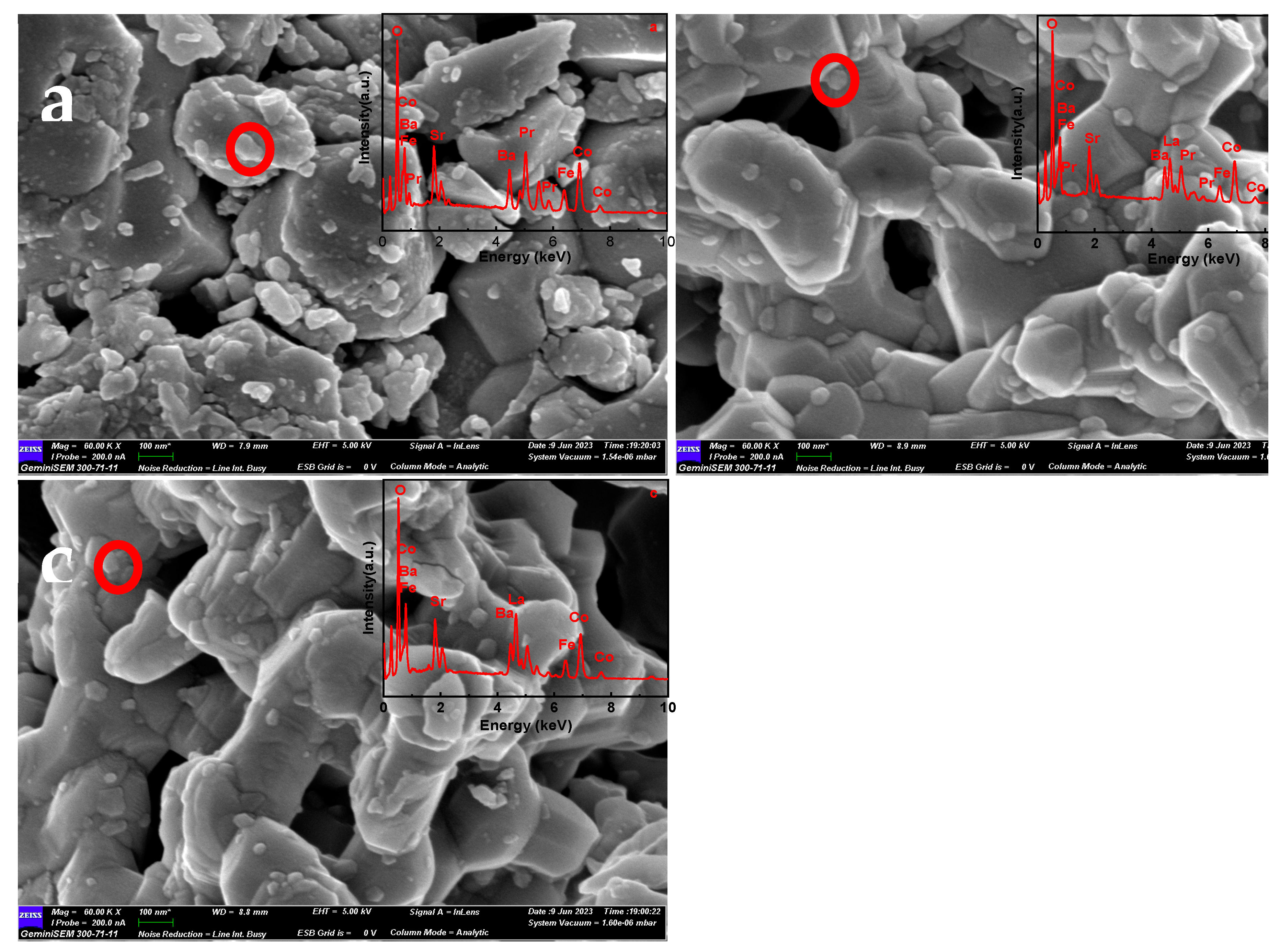 Preprints 108574 g002