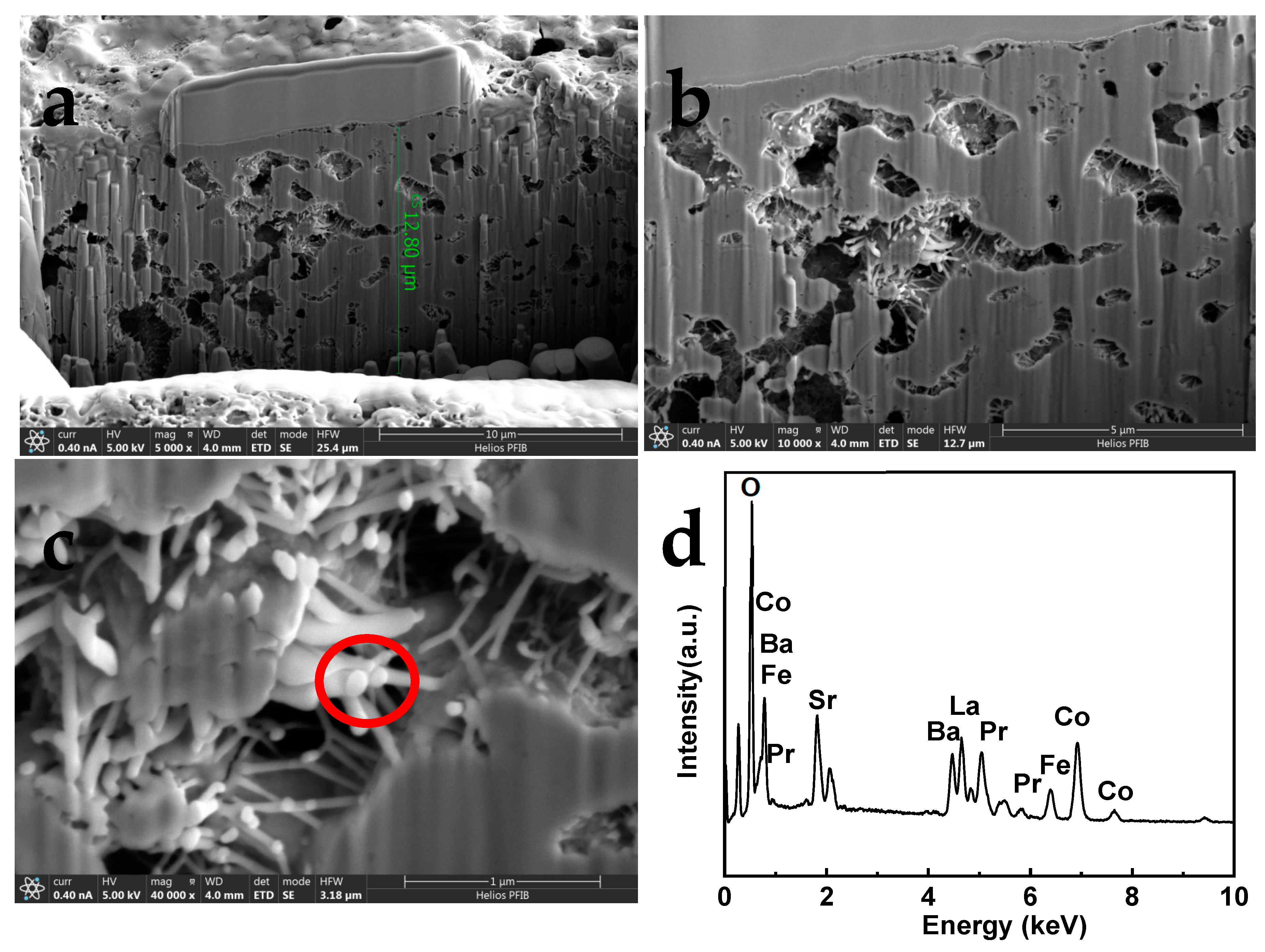 Preprints 108574 g006