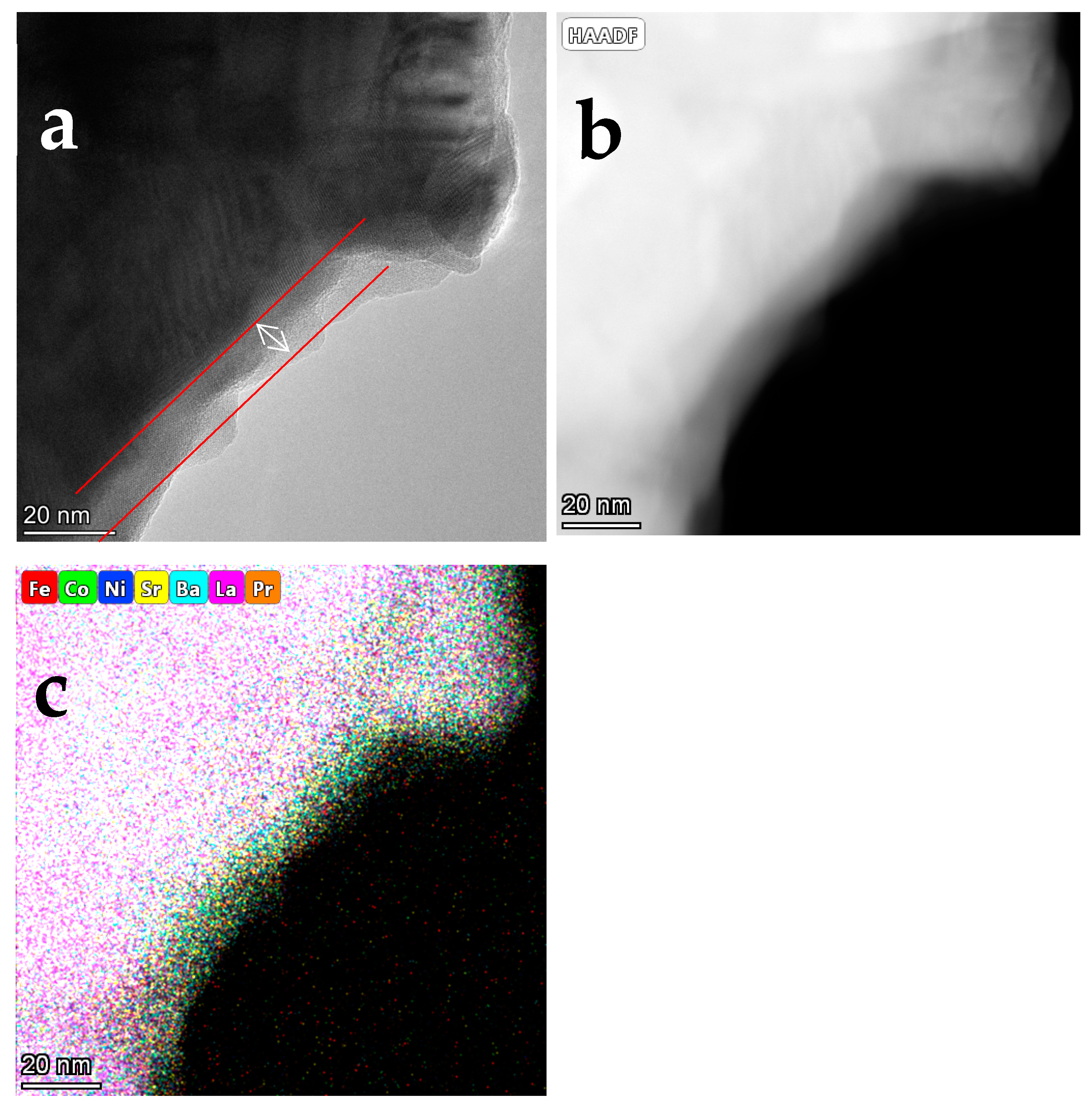 Preprints 108574 g007