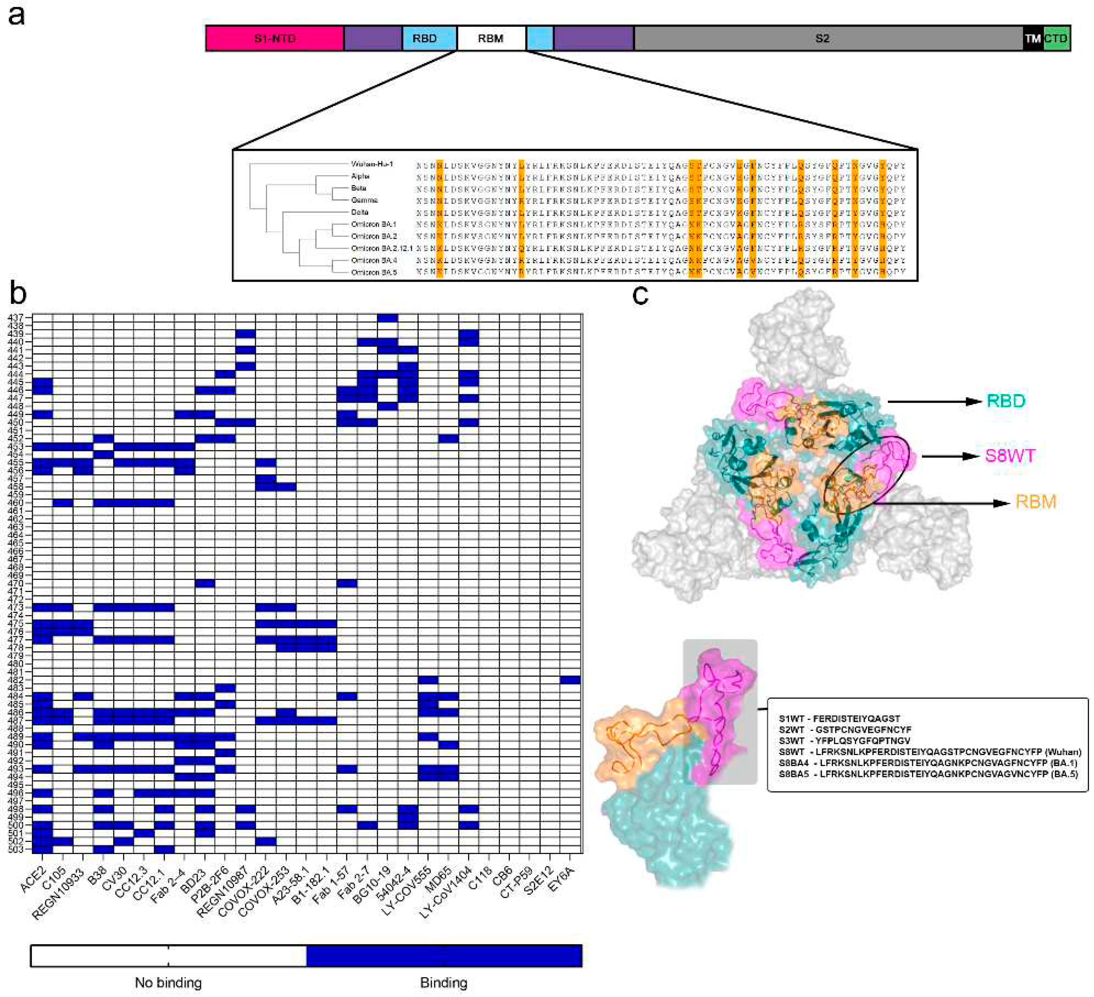 Preprints 89617 g001