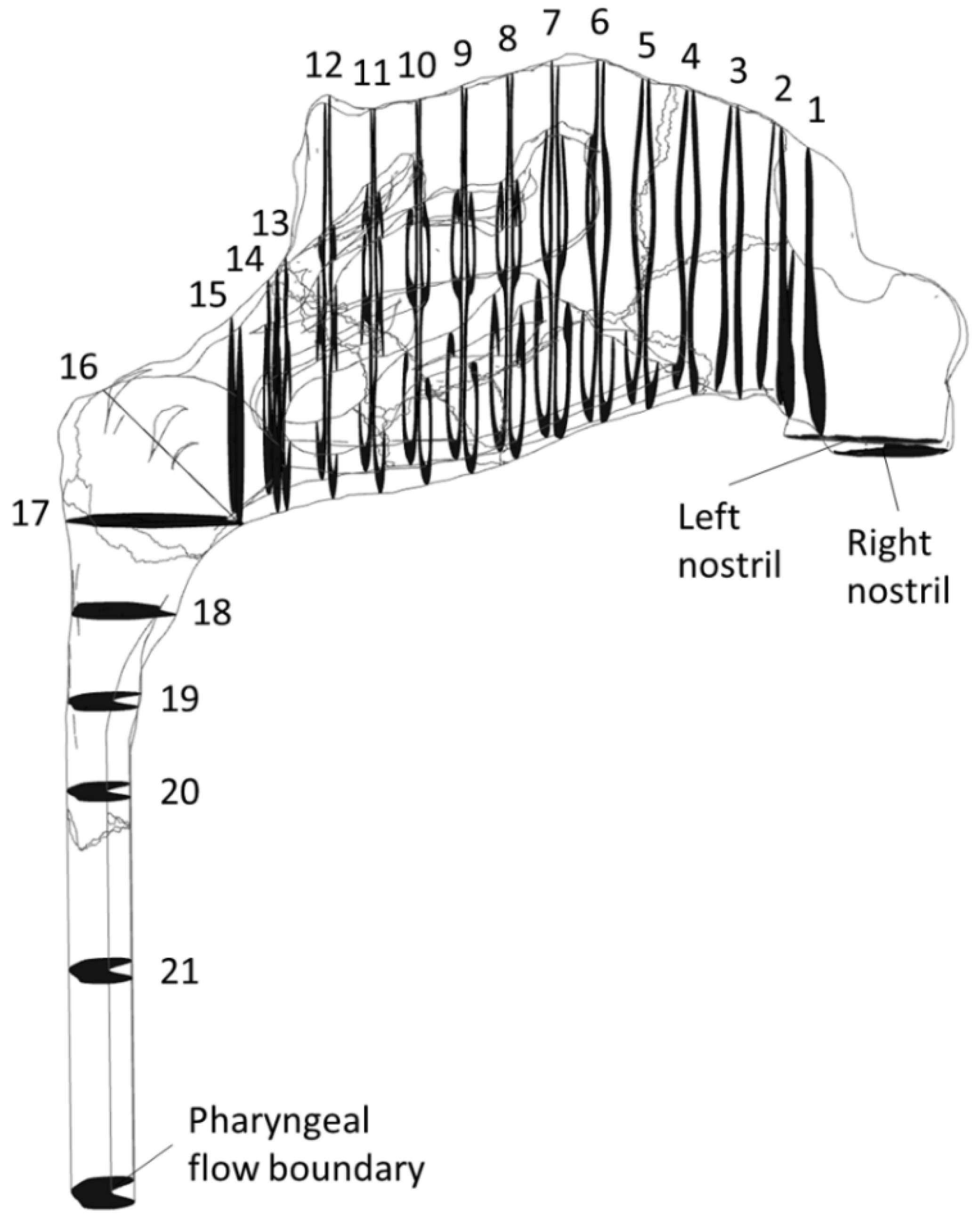 Preprints 95349 g023