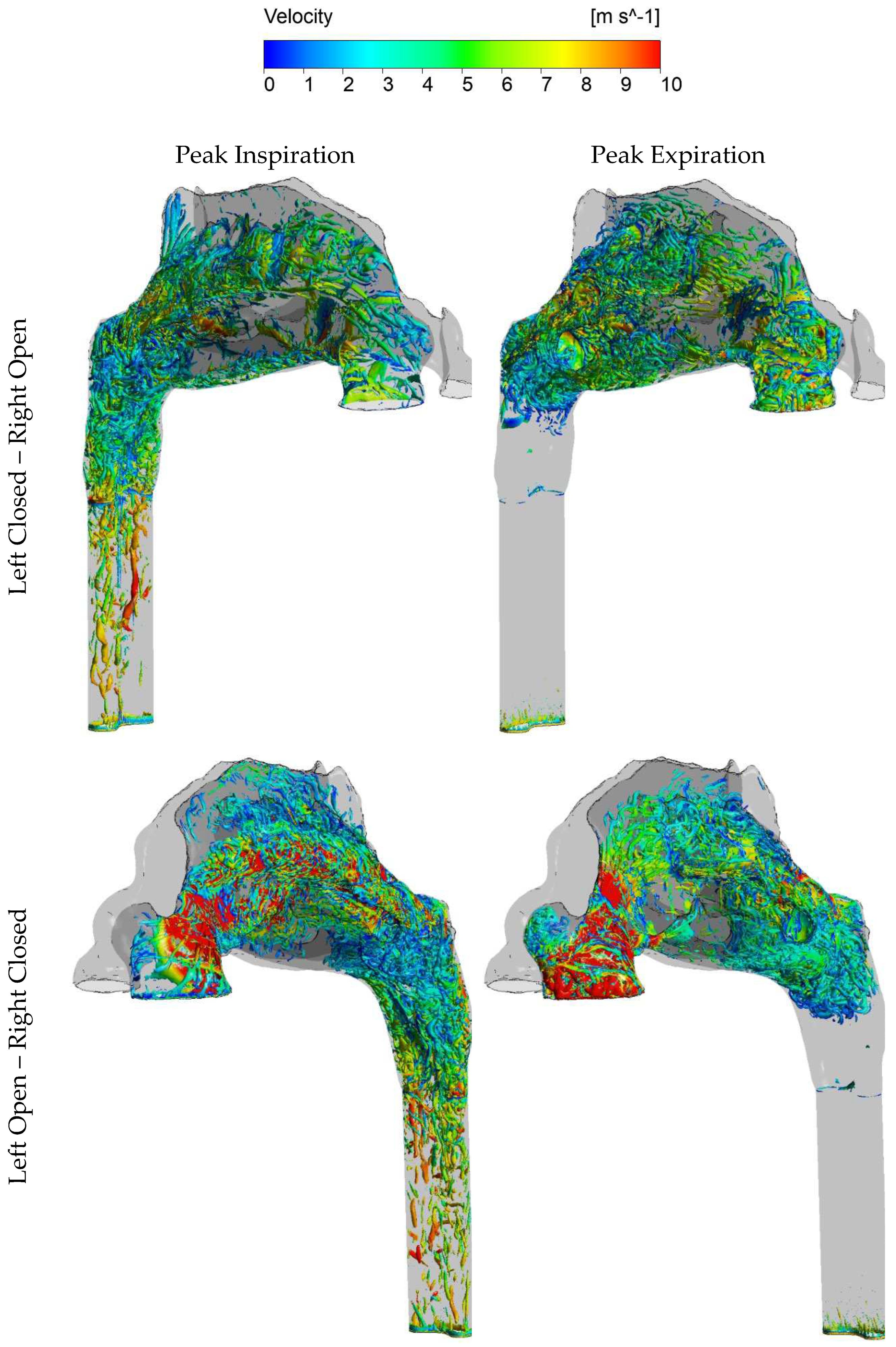 Preprints 95349 g025