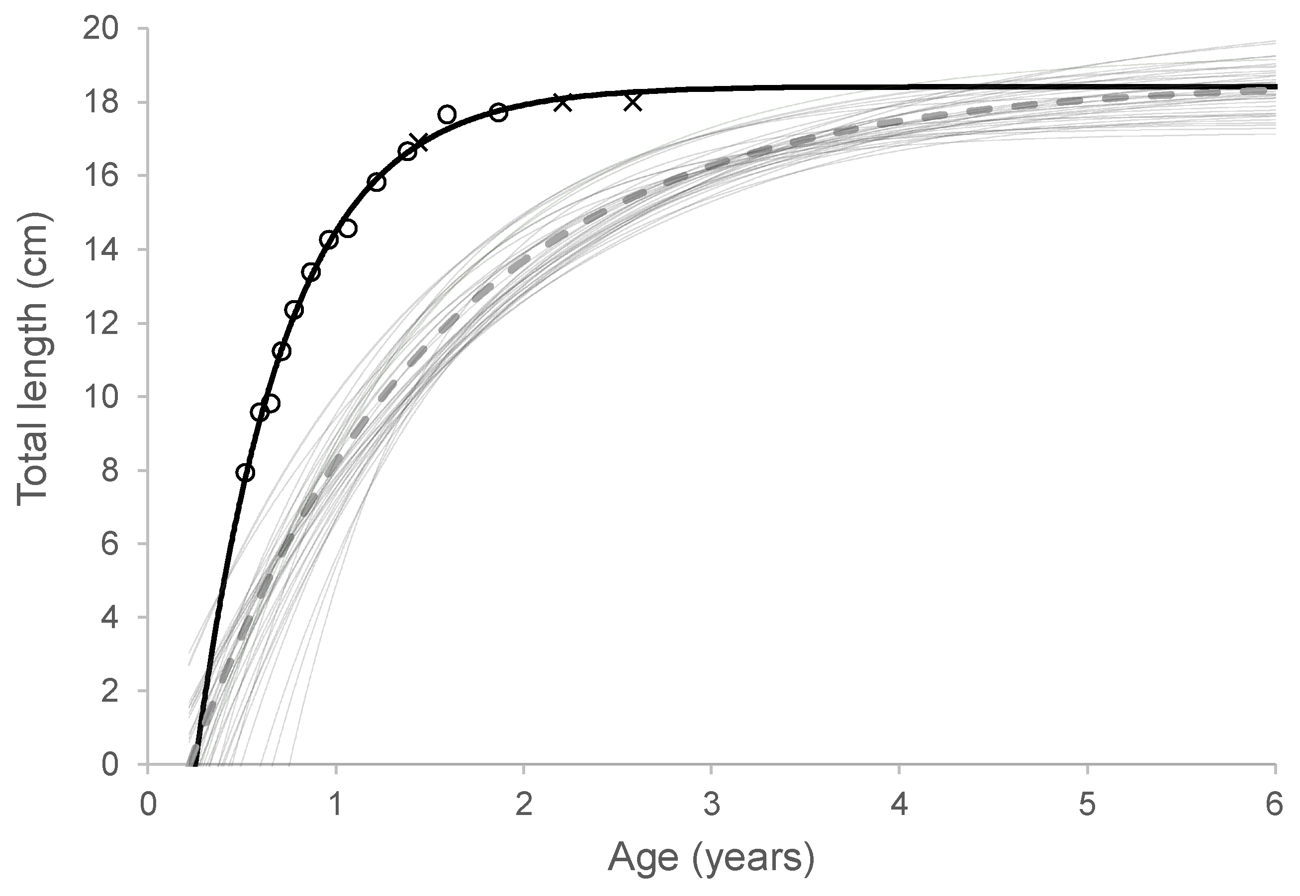 Preprints 120183 g005