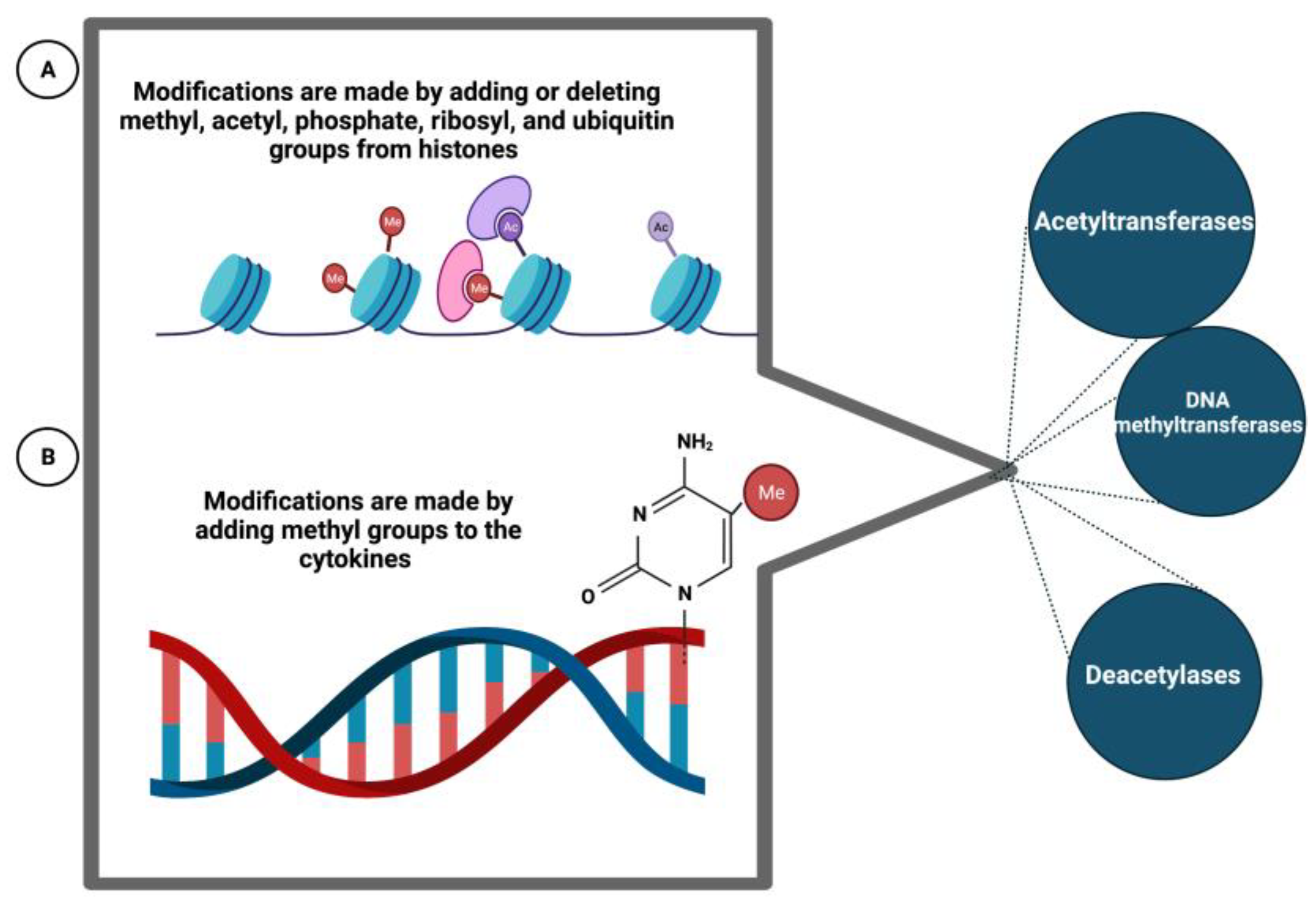 Preprints 73467 g005