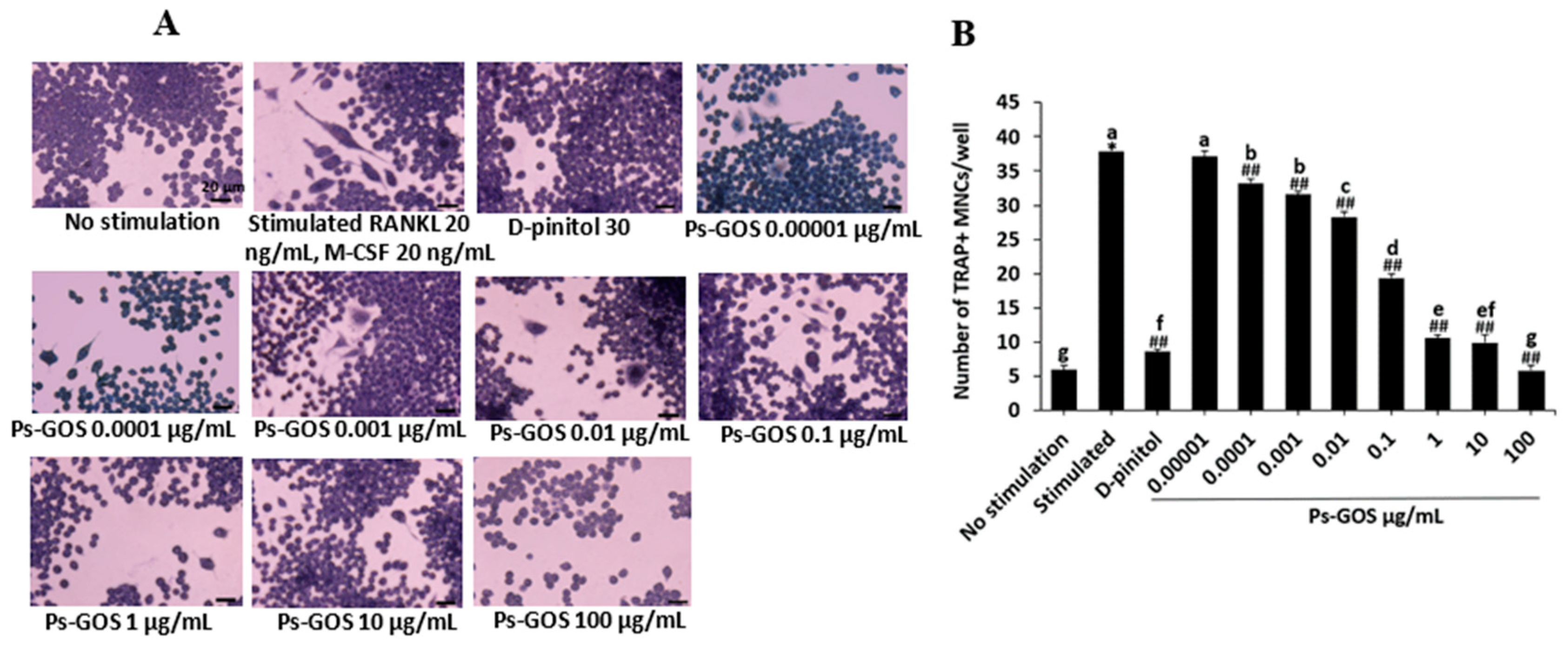 Preprints 96666 g002