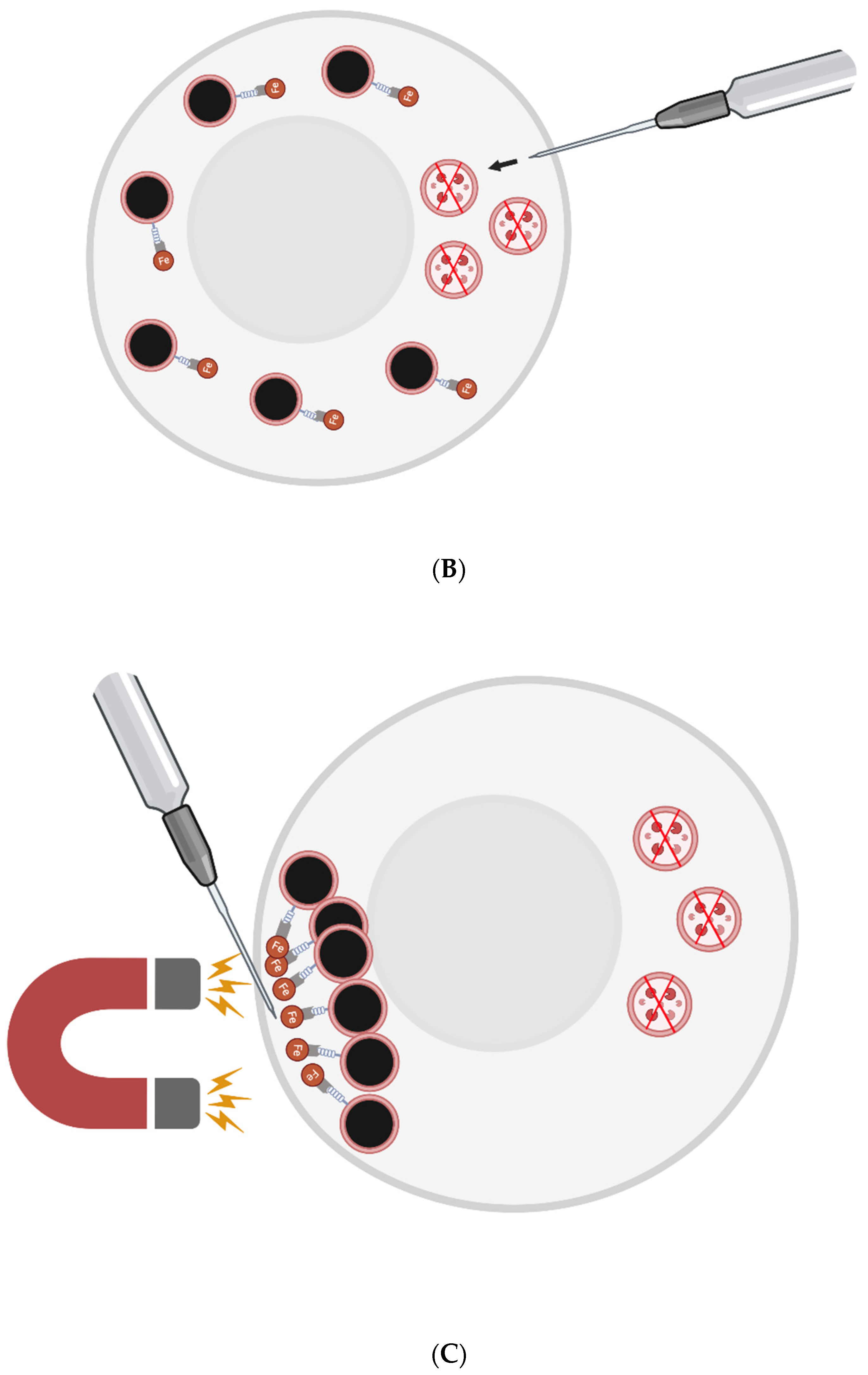 Preprints 84404 g001b