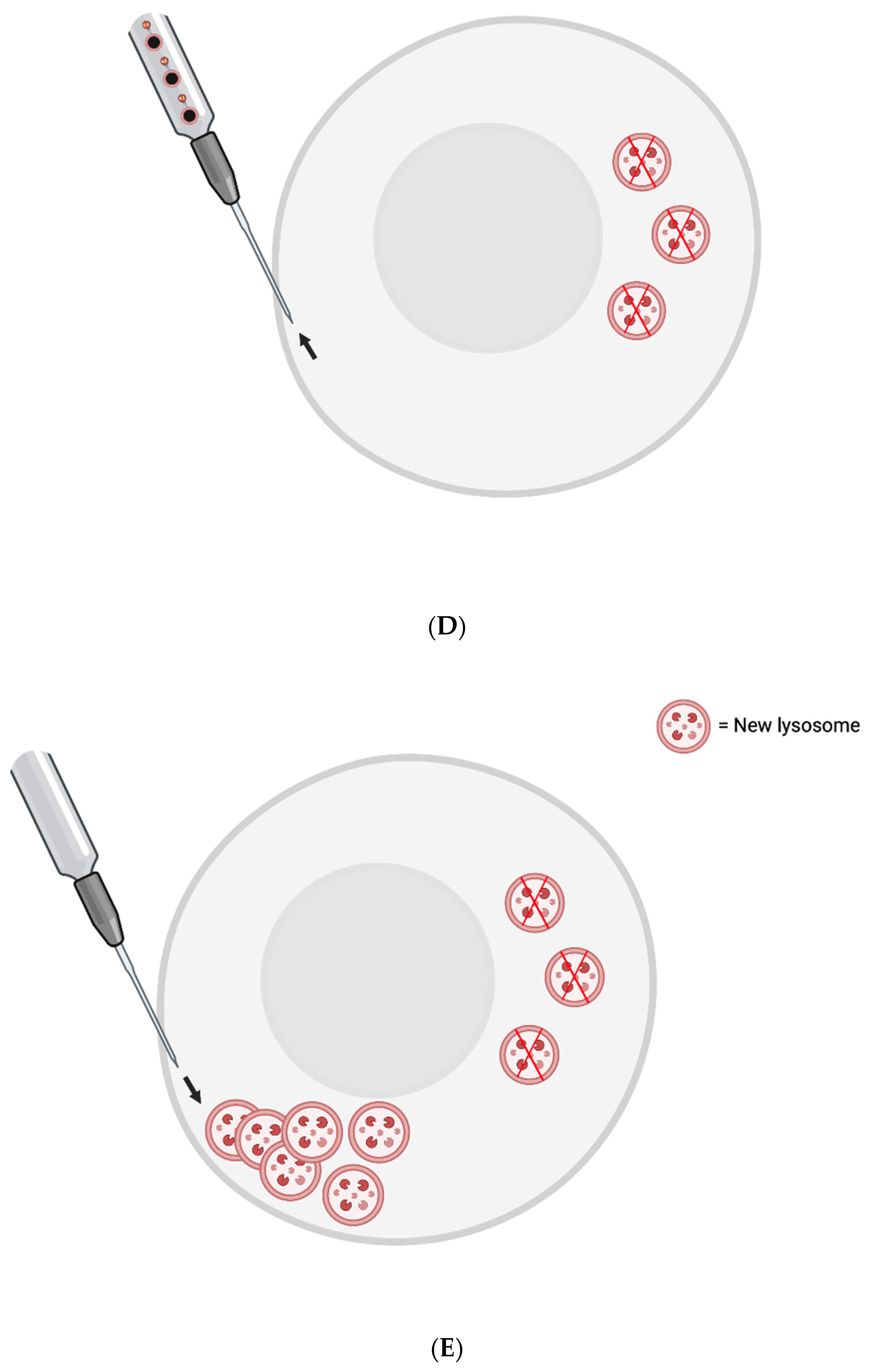 Preprints 84404 g001c