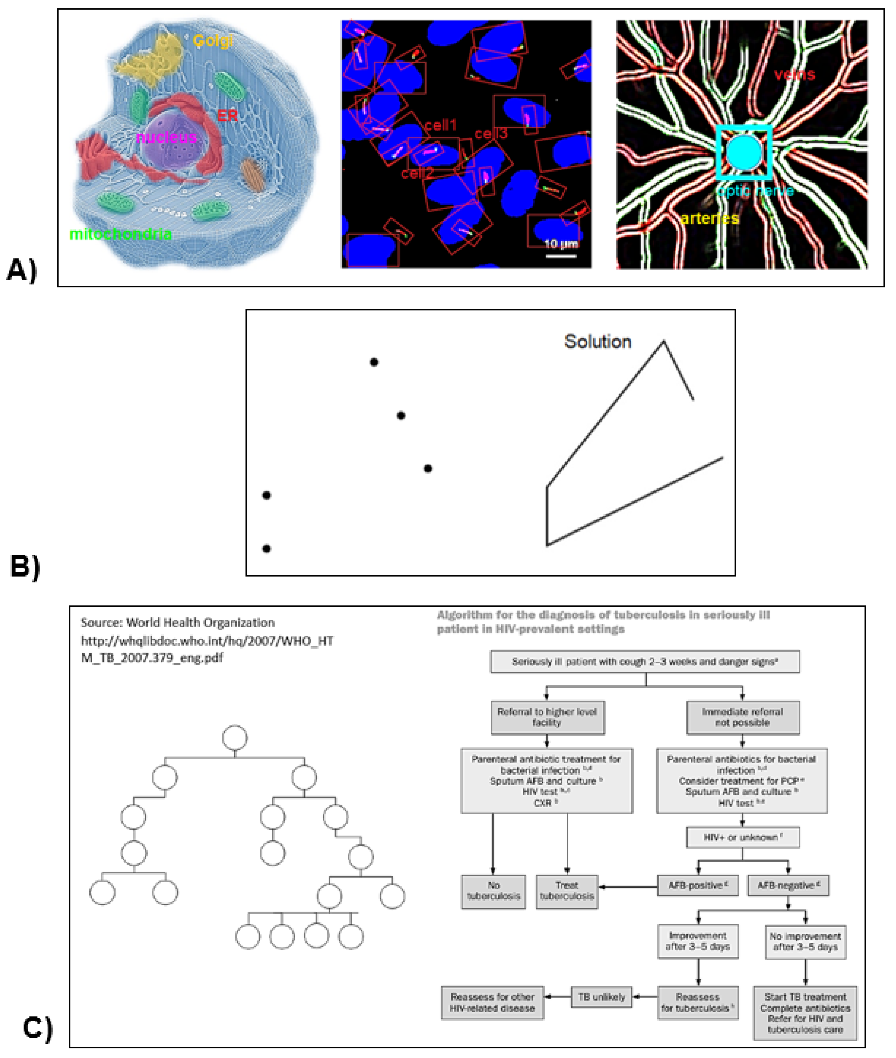 Preprints 75353 g002