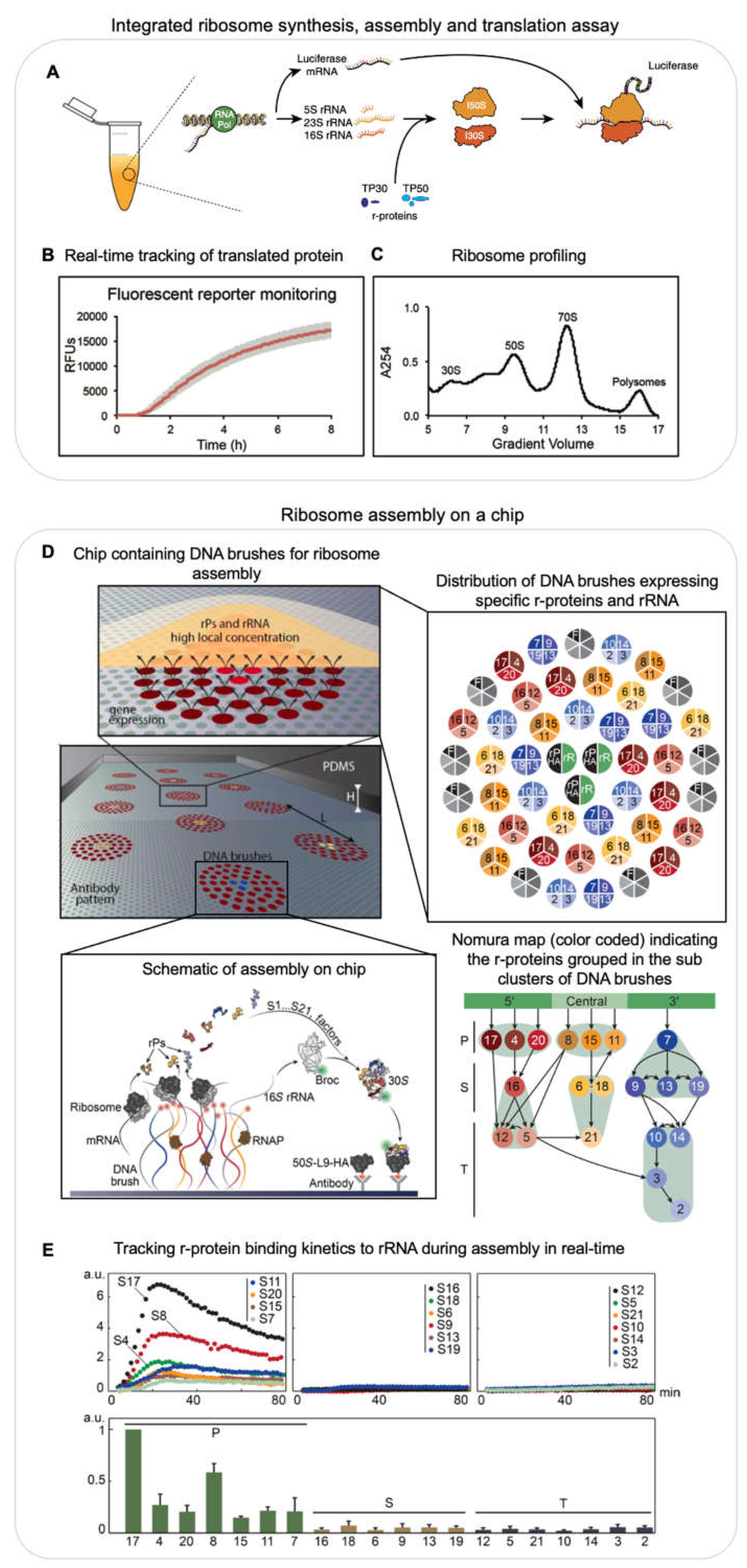 Preprints 72888 g002