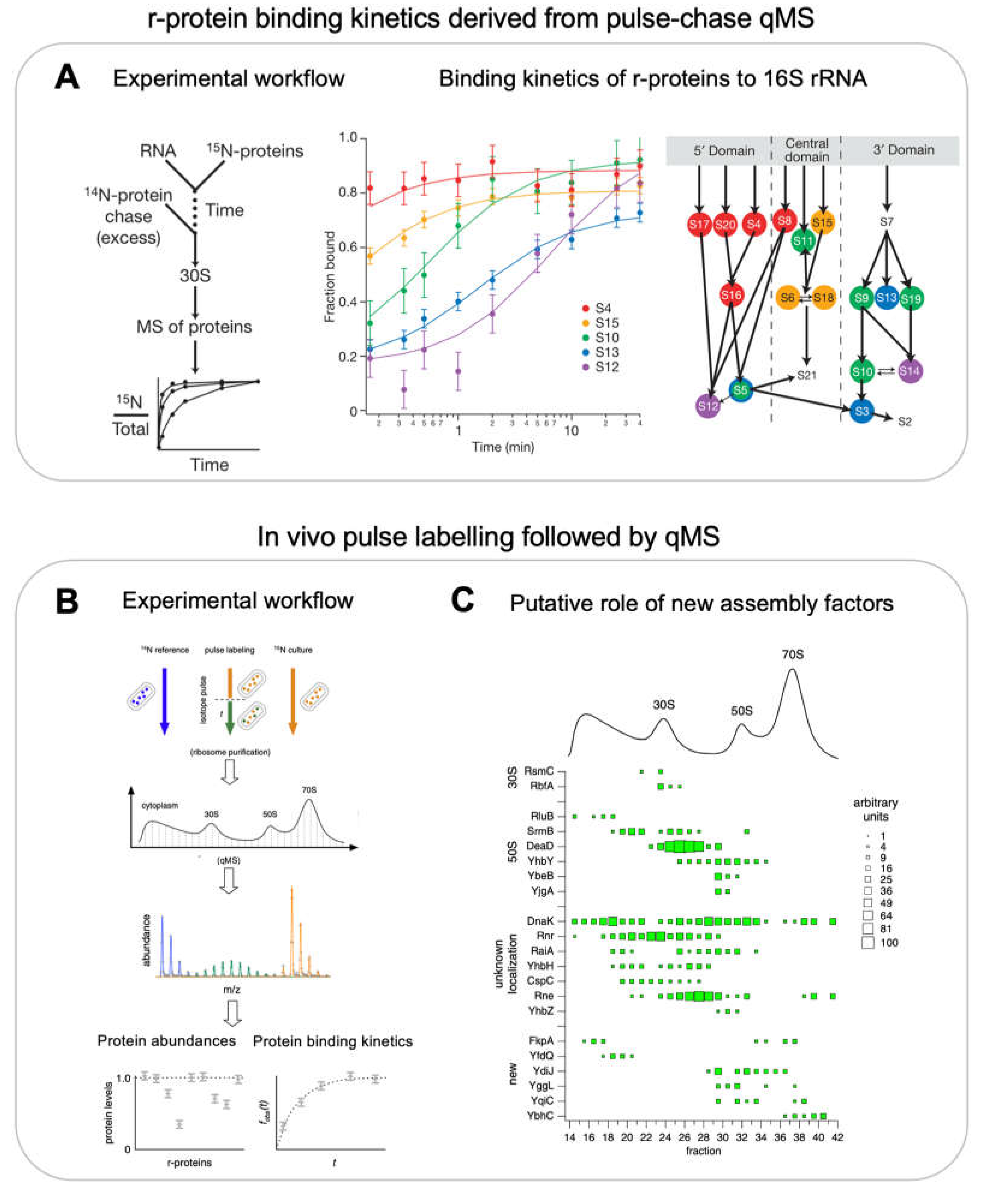 Preprints 72888 g003